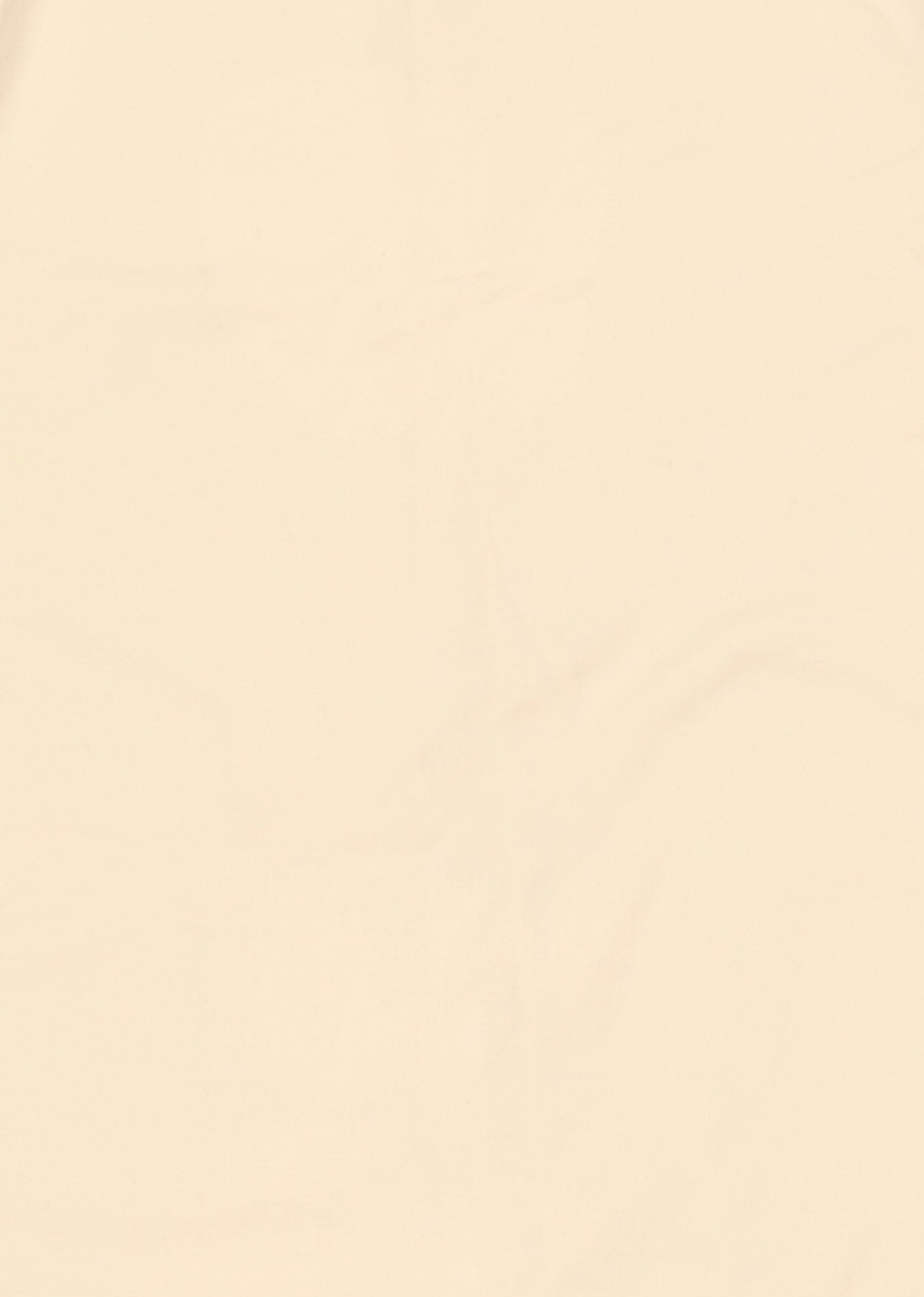 무신사 스탠다드(MUSINSA STANDARD) 반소매 티셔츠 M