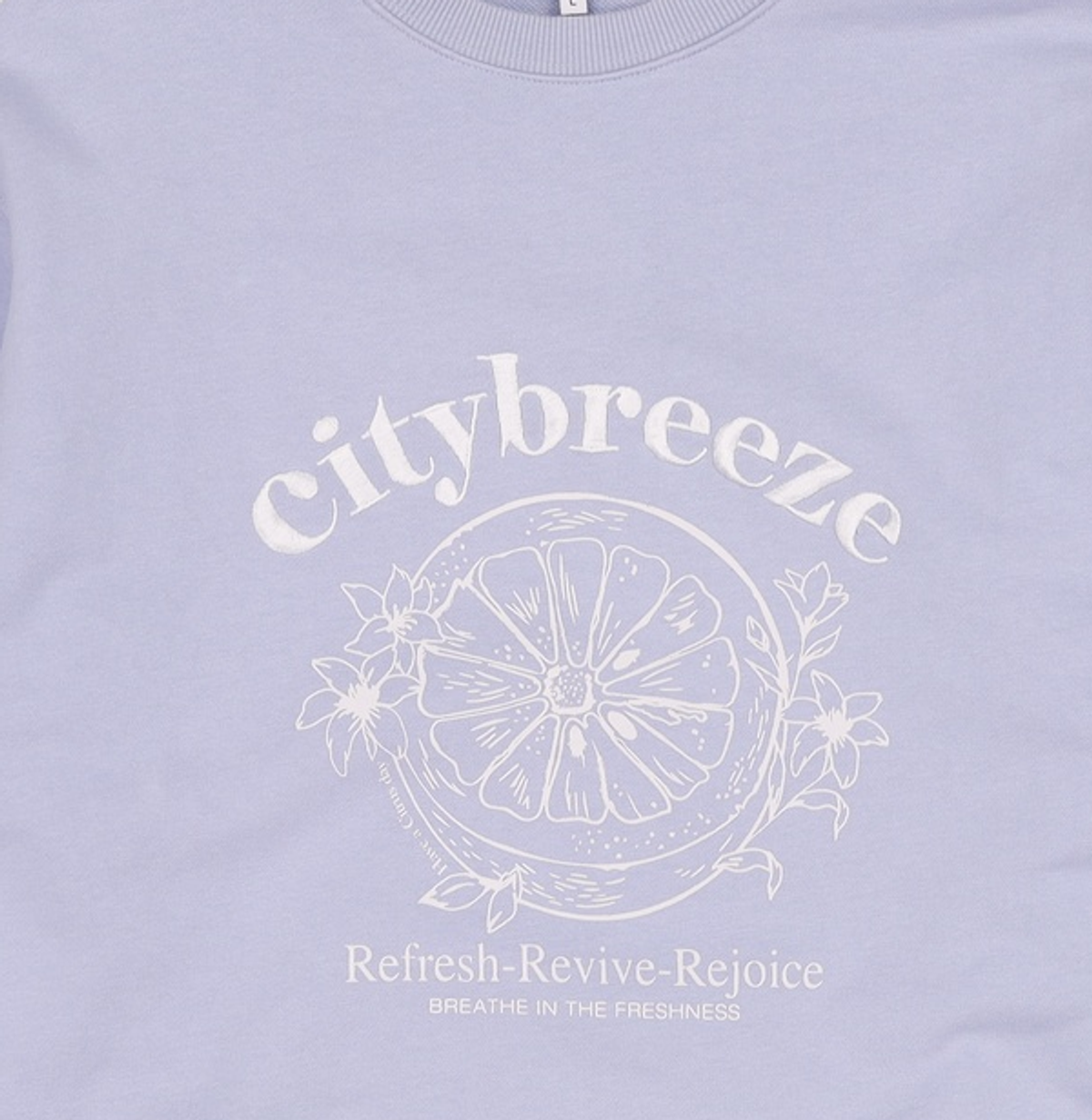 시티브리즈(CITYBREEZE) 맨투맨/스웨트셔츠 L