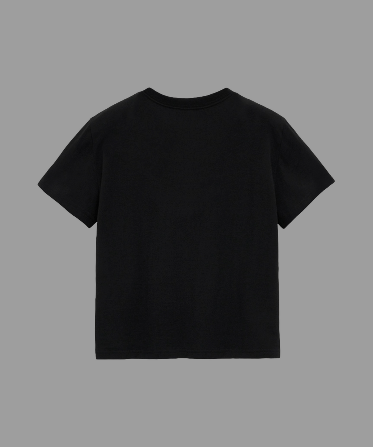 225(225) 225 faded wing crop T-shirt