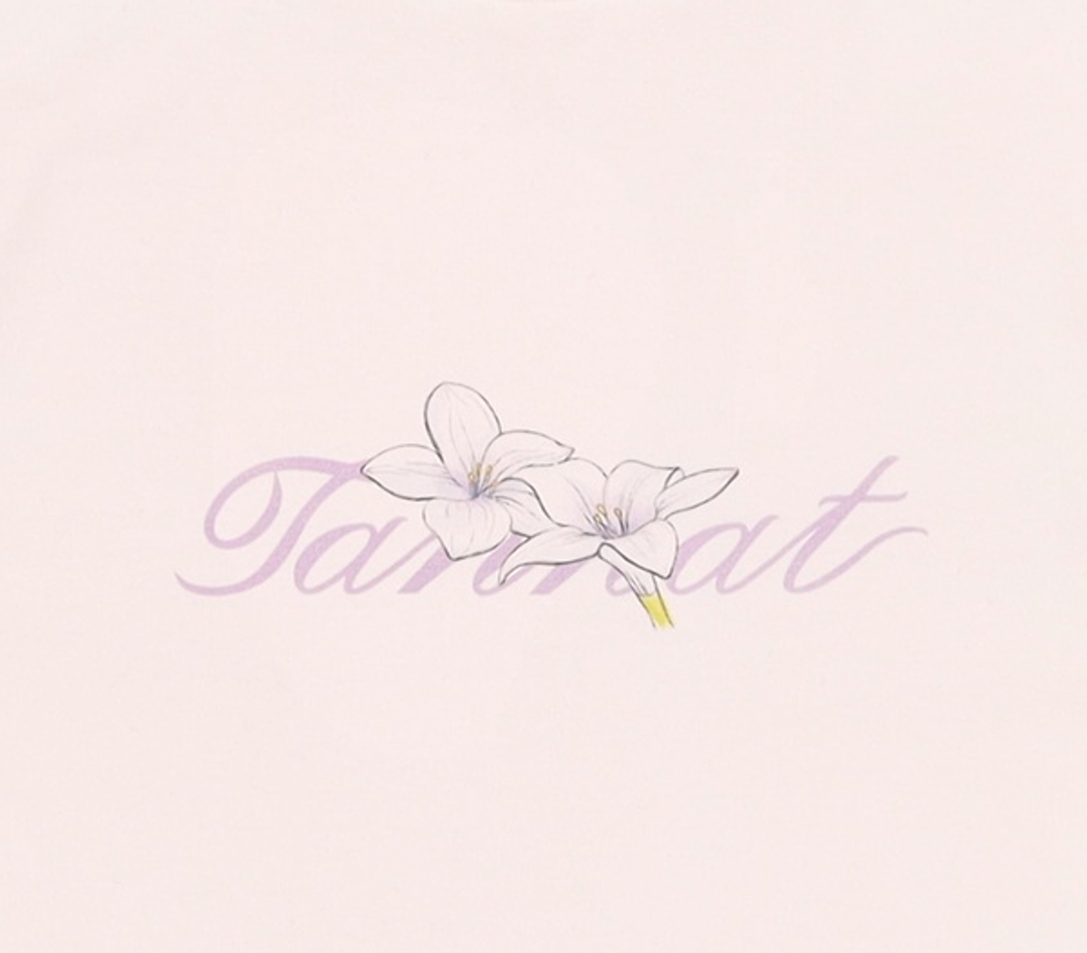 타낫(TANNAT) 반소매 티셔츠 FREE