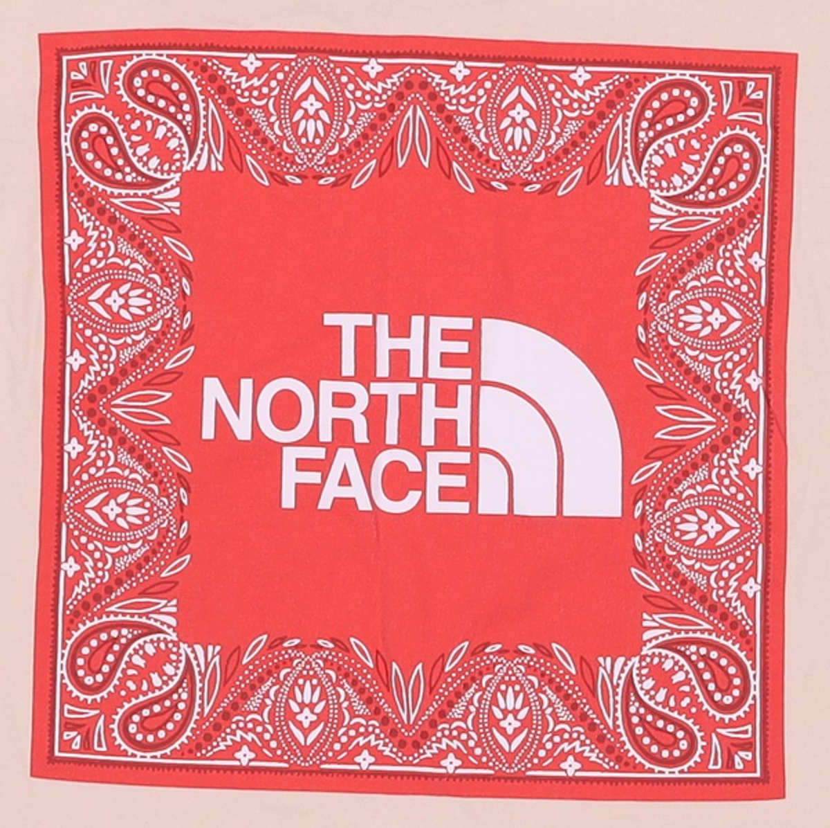 노스페이스(THE NORTH FACE) 반소매 티셔츠 S