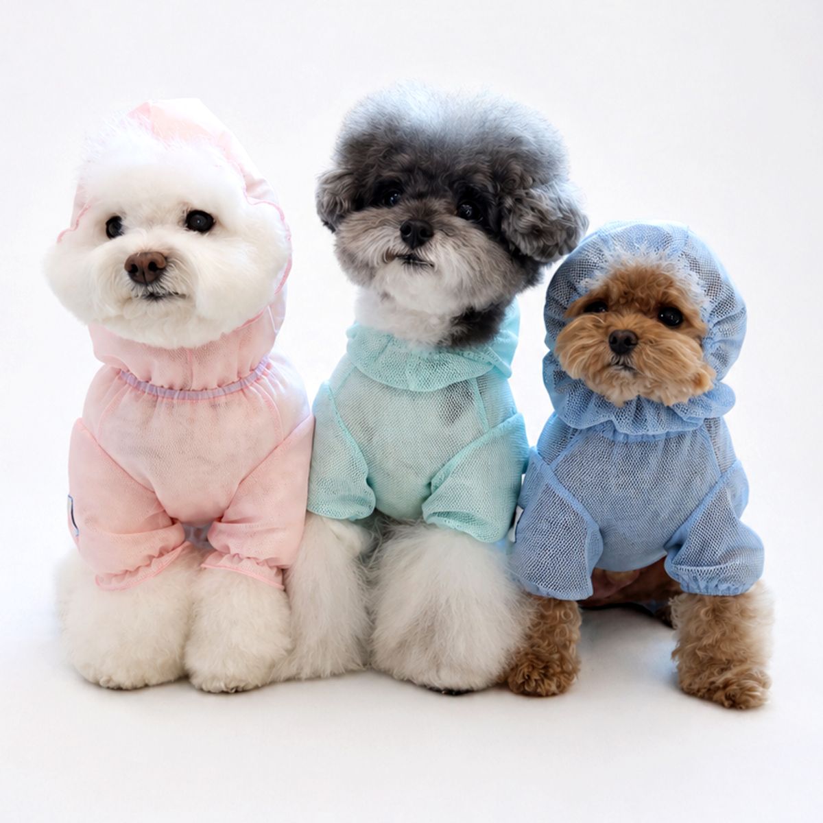 펫츠랜드(PETSLAND) 포레스트 버그가드 올인원 4colors S-2XL