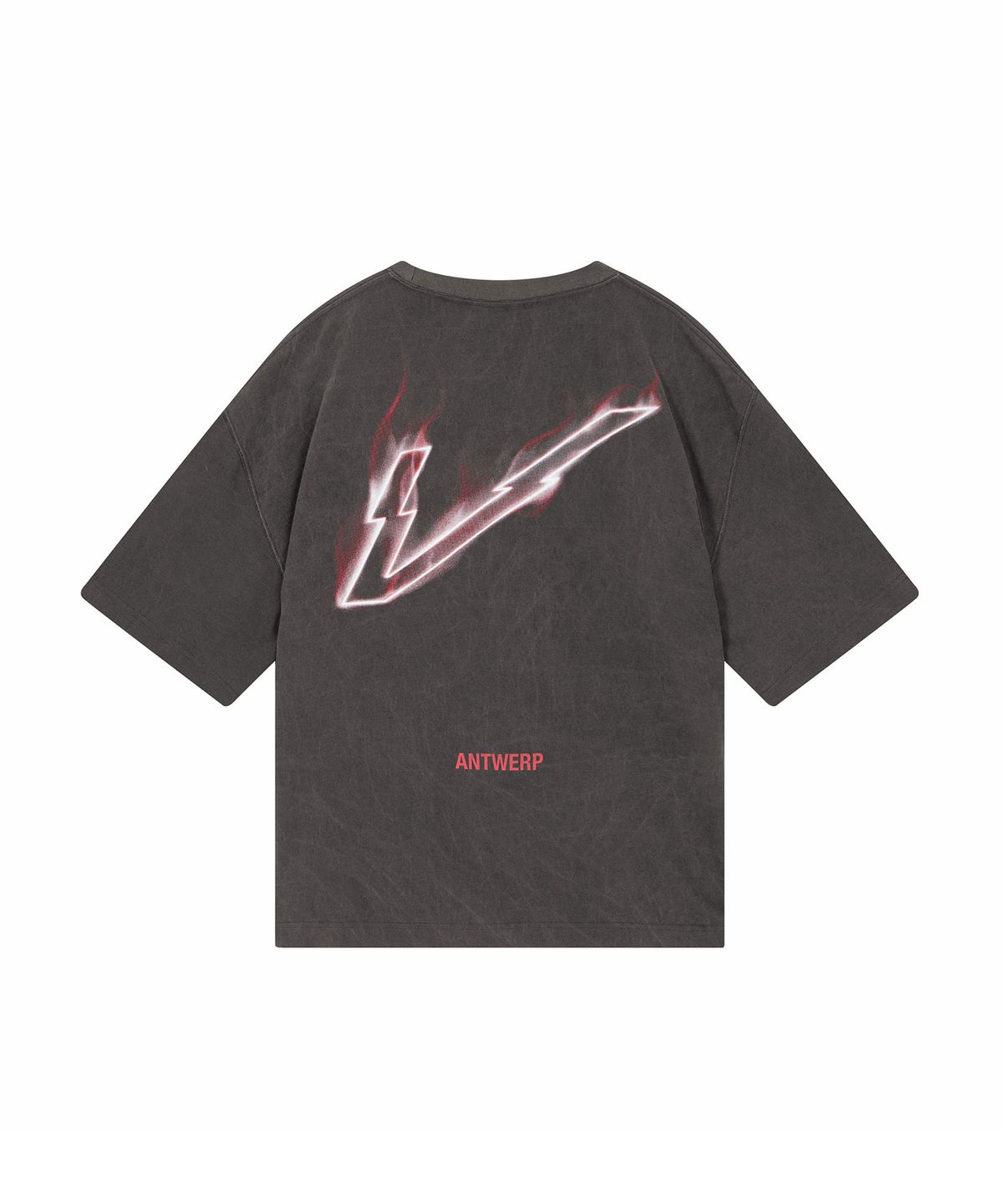 블레민크벨드(VLEMINCKVELD) V-neon Pigment Oversize T-shirts_Gray, Pink