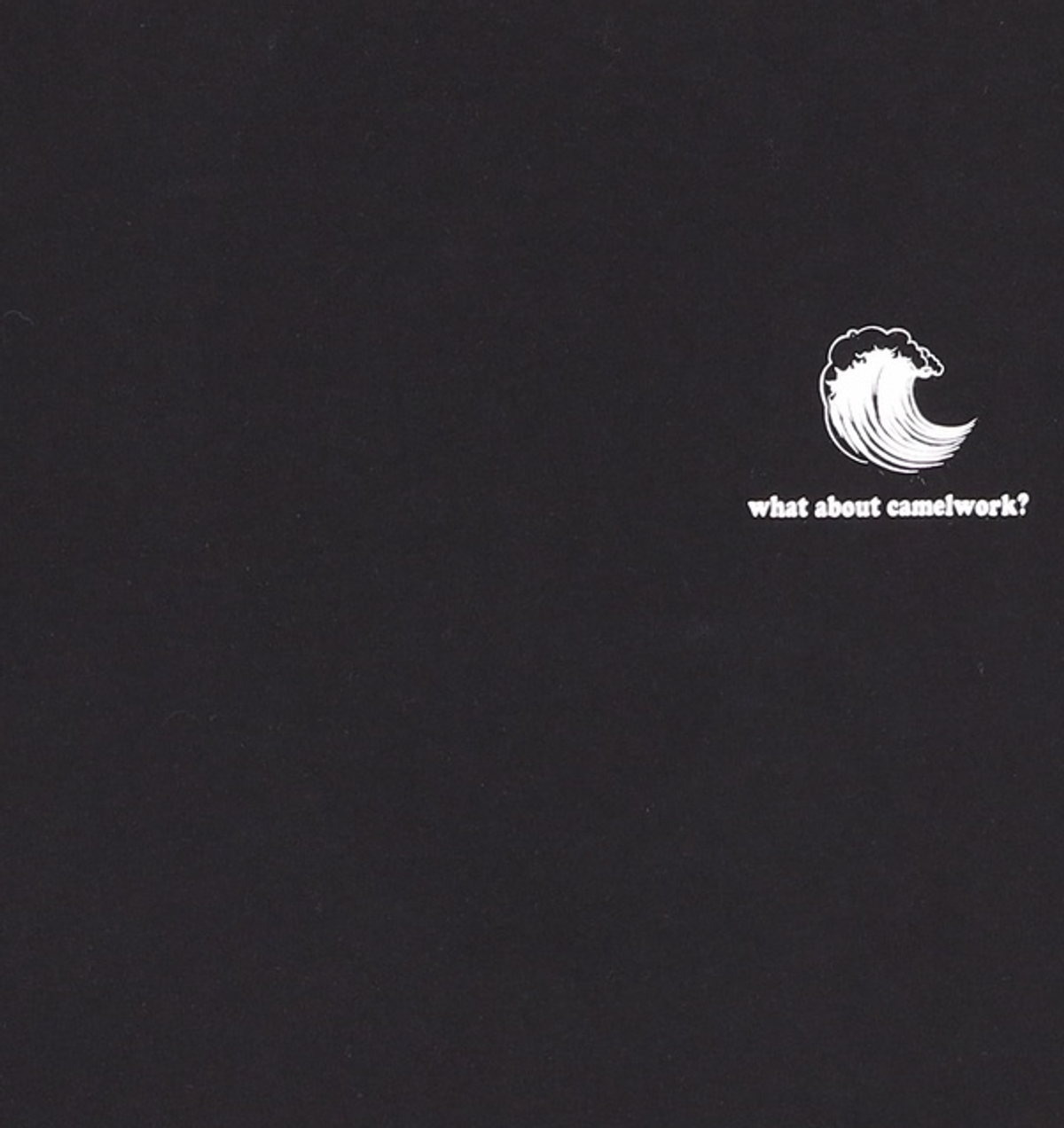 카멜워크(CAMEL WORK) 반소매 티셔츠 M