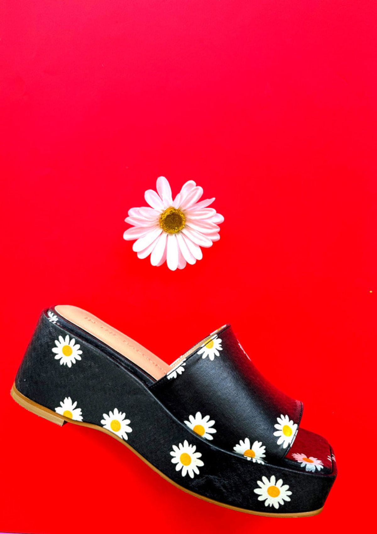 인더발코니(IN THE BALCONY) 25 SS Blossom Buzz Daisy