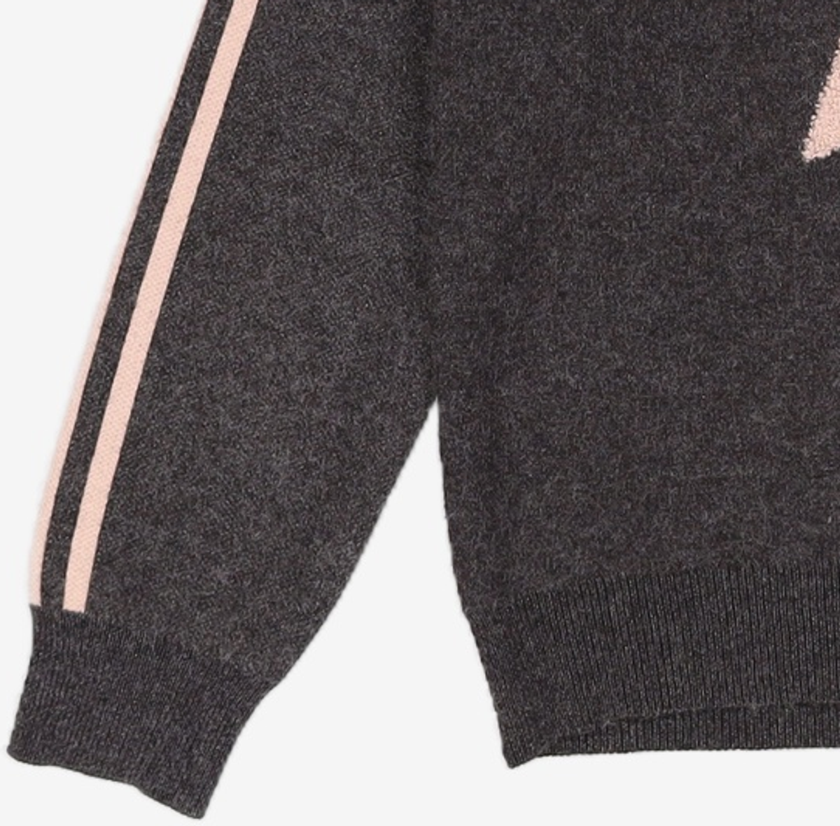 제이제이 지고트(JJ JIGOTT) 후드 티셔츠 FREE