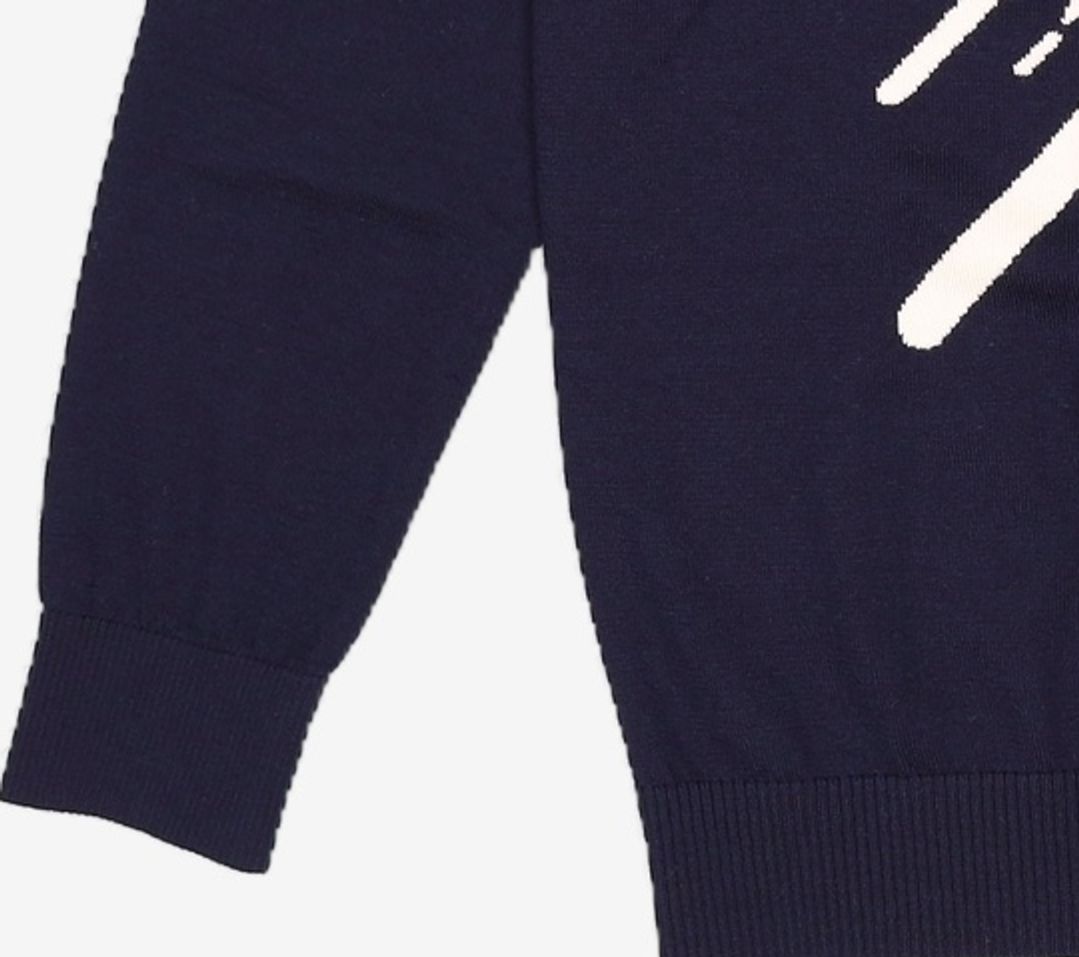 빈폴(BEAN POLE) 니트/스웨터 100