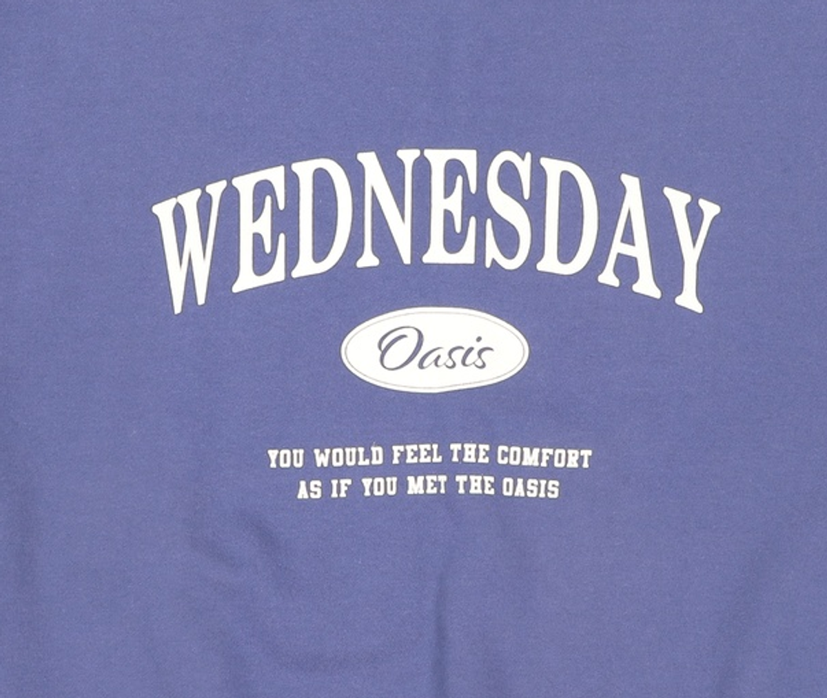 웬즈데이오아시스(WEDNESDAY OASIS) 맨투맨/스웨트셔츠 II