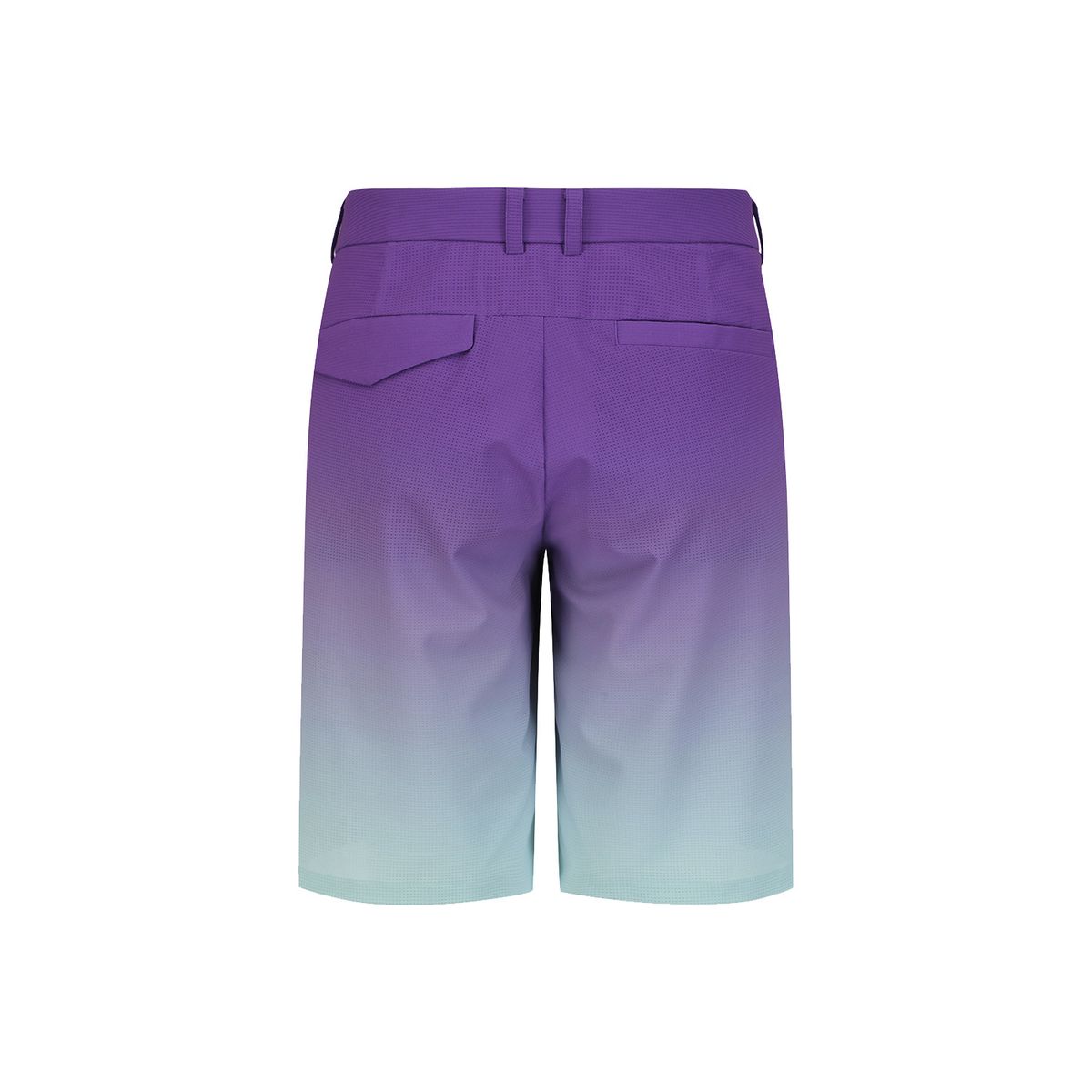 어뉴골프(ANEW GOLF) MEN GRADATION HALF PANTS_PP