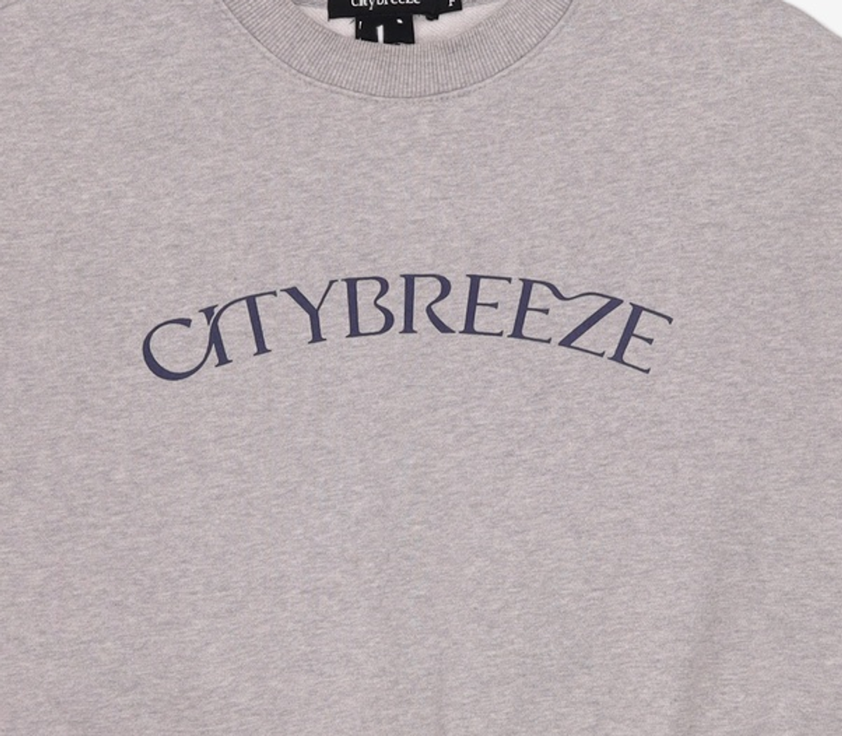시티브리즈(CITYBREEZE) 맨투맨/스웨트셔츠 FREE