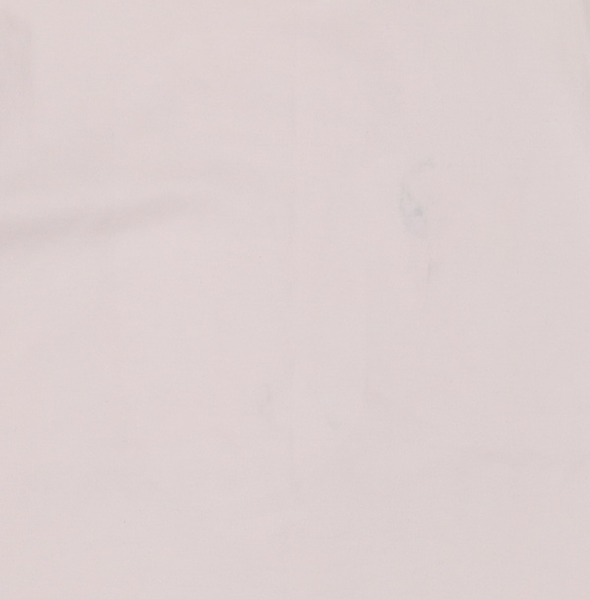 더뮤지엄비지터(THEMUSEUMVISITOR) 반소매 티셔츠 S