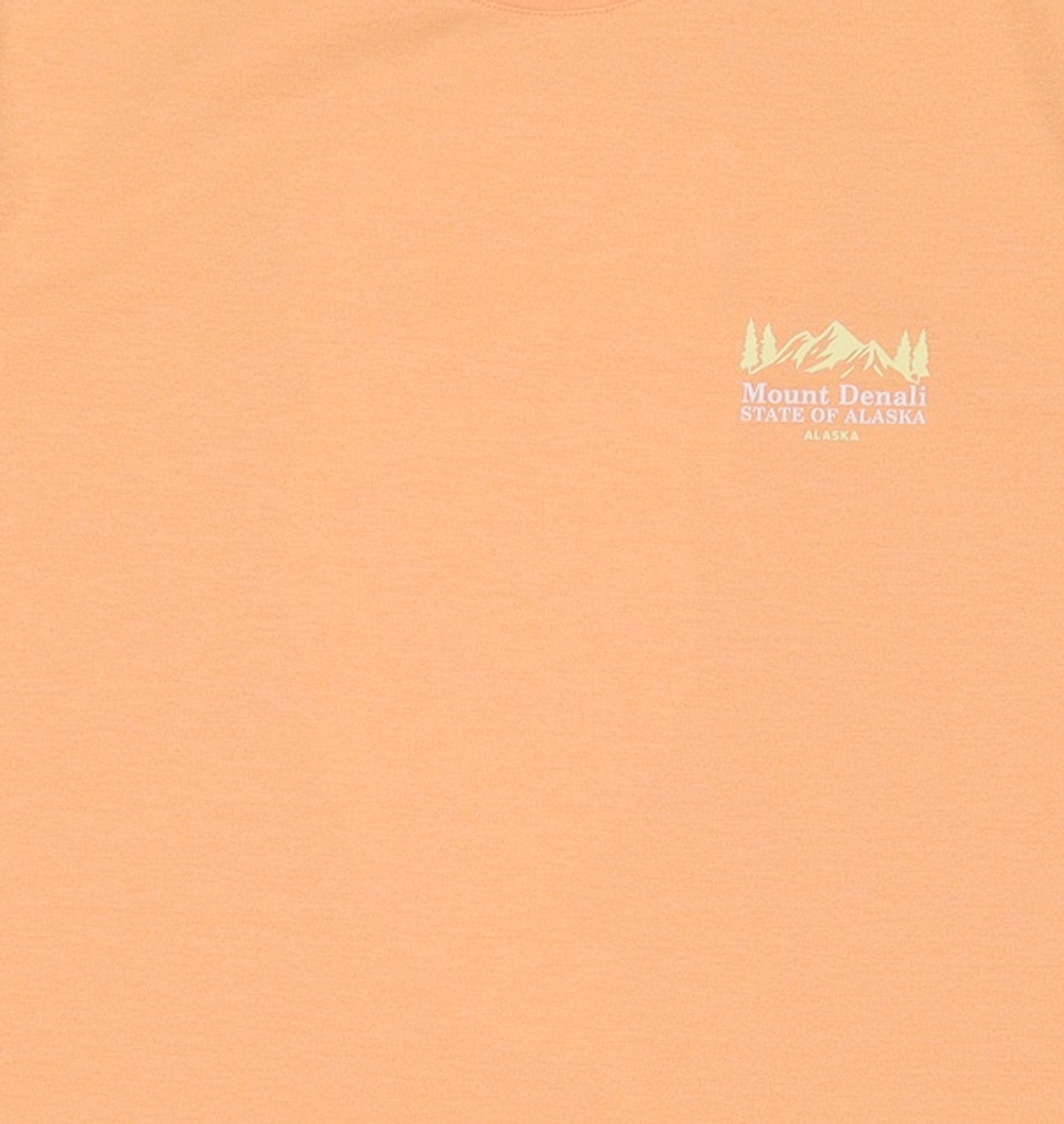 알래스카(ALASKA) 반소매 티셔츠 100