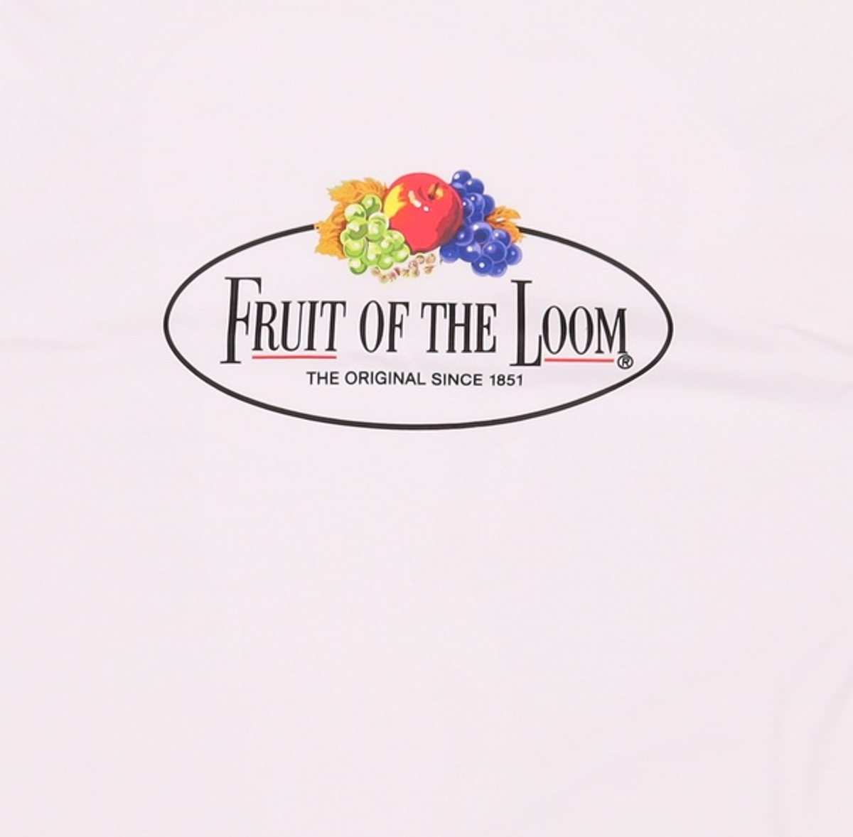 프룻오브더룸(FRUIT OF THE LOOM) 반소매 티셔츠 105