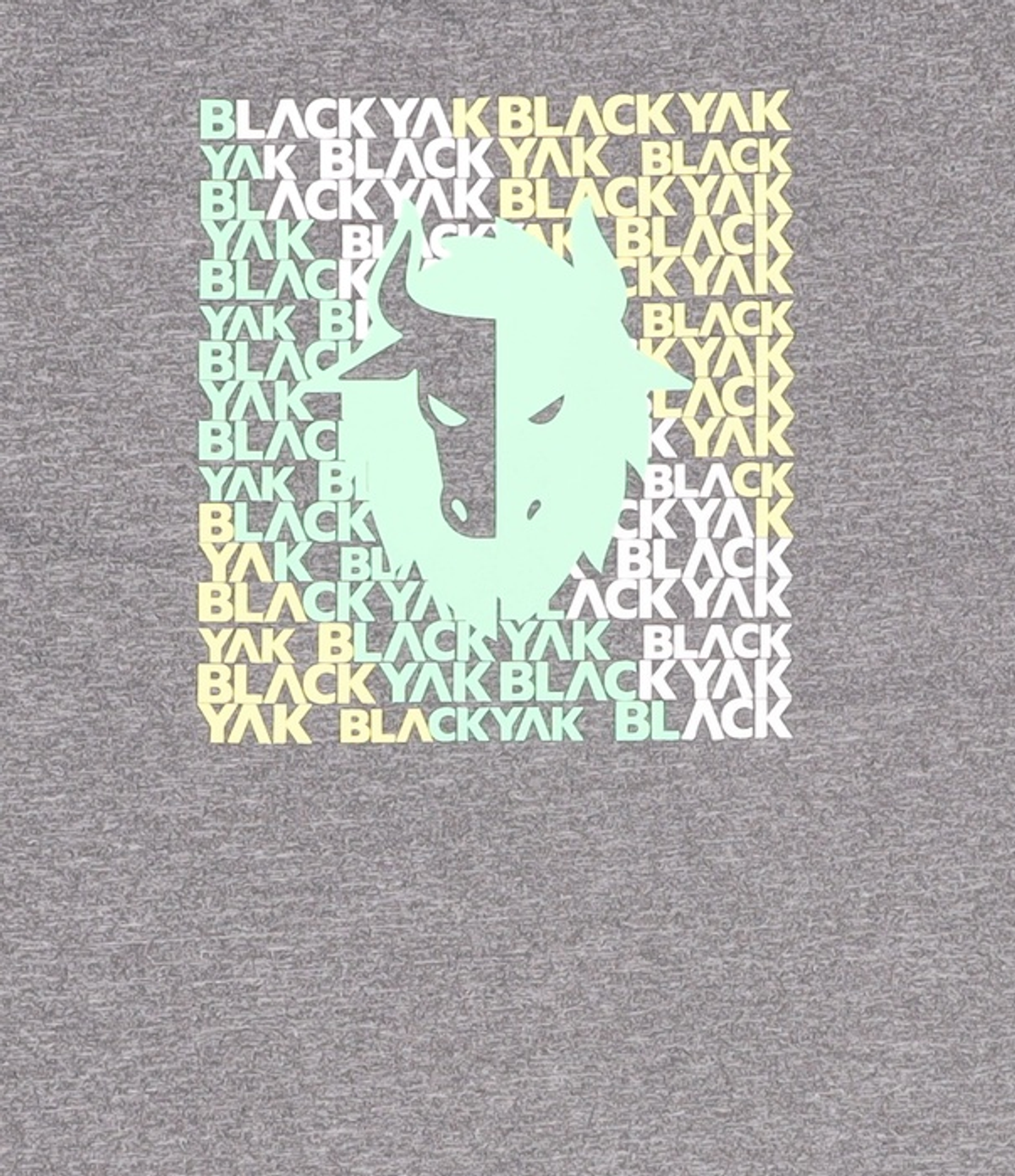 블랙야크 키즈(BLACK YAK KIDS) 반소매 티셔츠 175