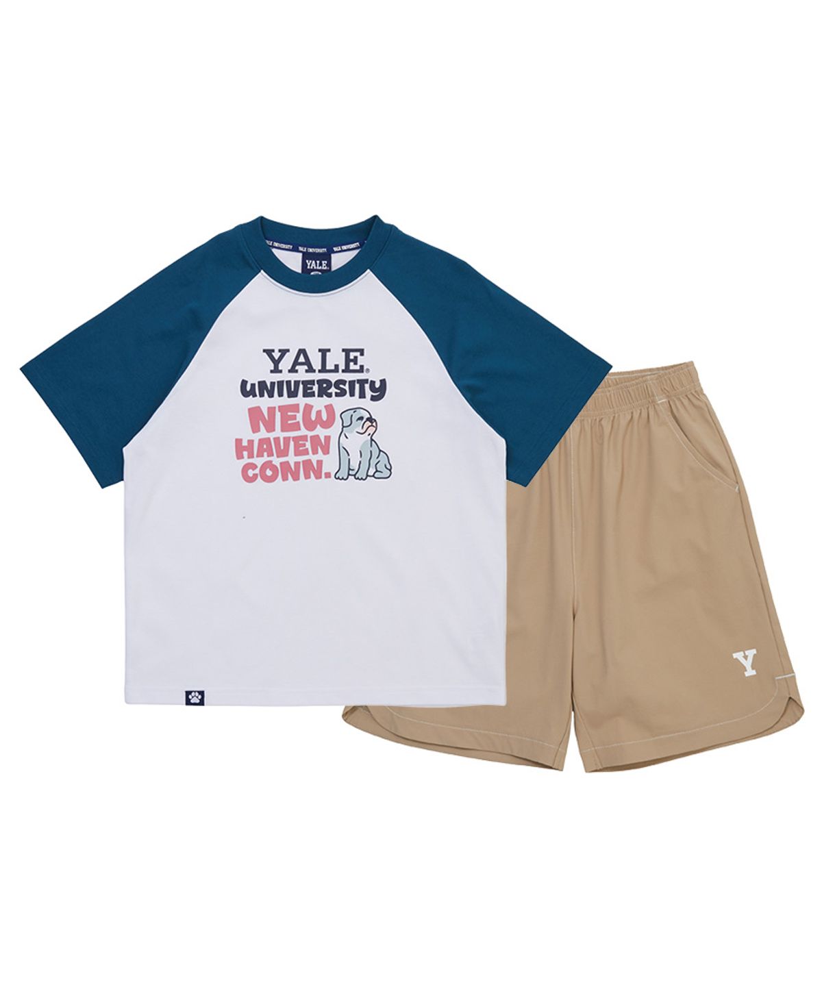 예일키즈(YALE KIDS) 불독스 배색 포인트 상하세트 A6M013