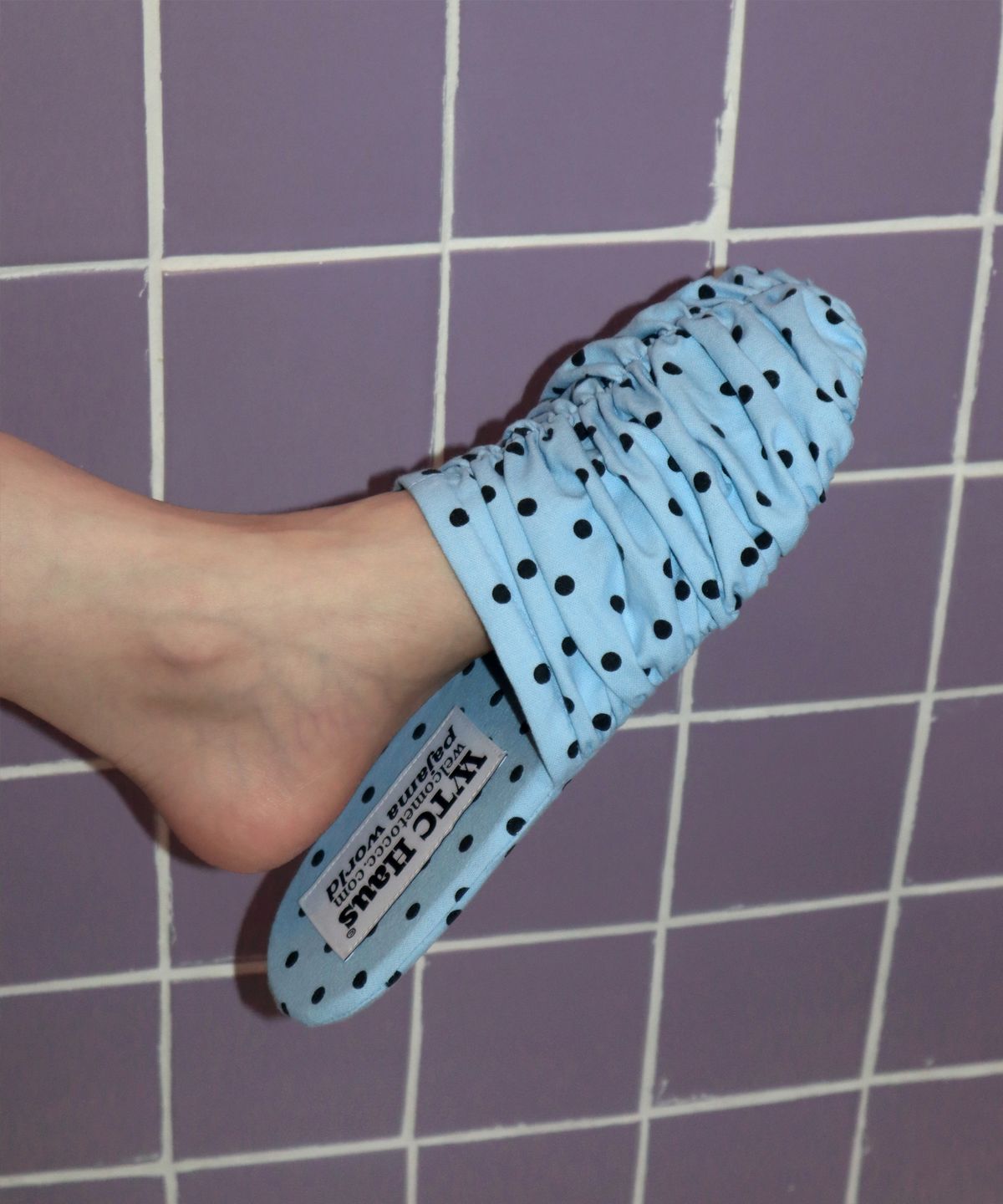 웰컴투씨씨씨(WELCOME TO CCC) [Gift Box] Croa Shoes (Sky Dot) Room Shoes