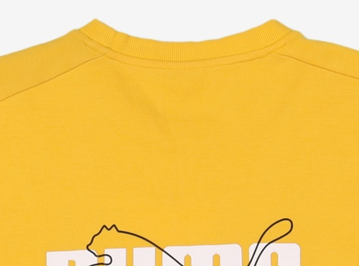 푸마(PUMA) 맨투맨/스웨트셔츠 L