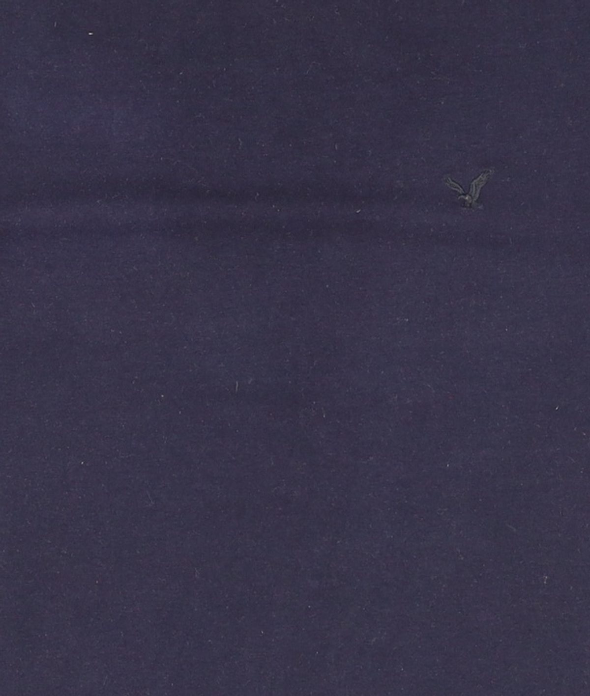 아메리칸이글(AMERICANEAGLE) 반소매 티셔츠 S