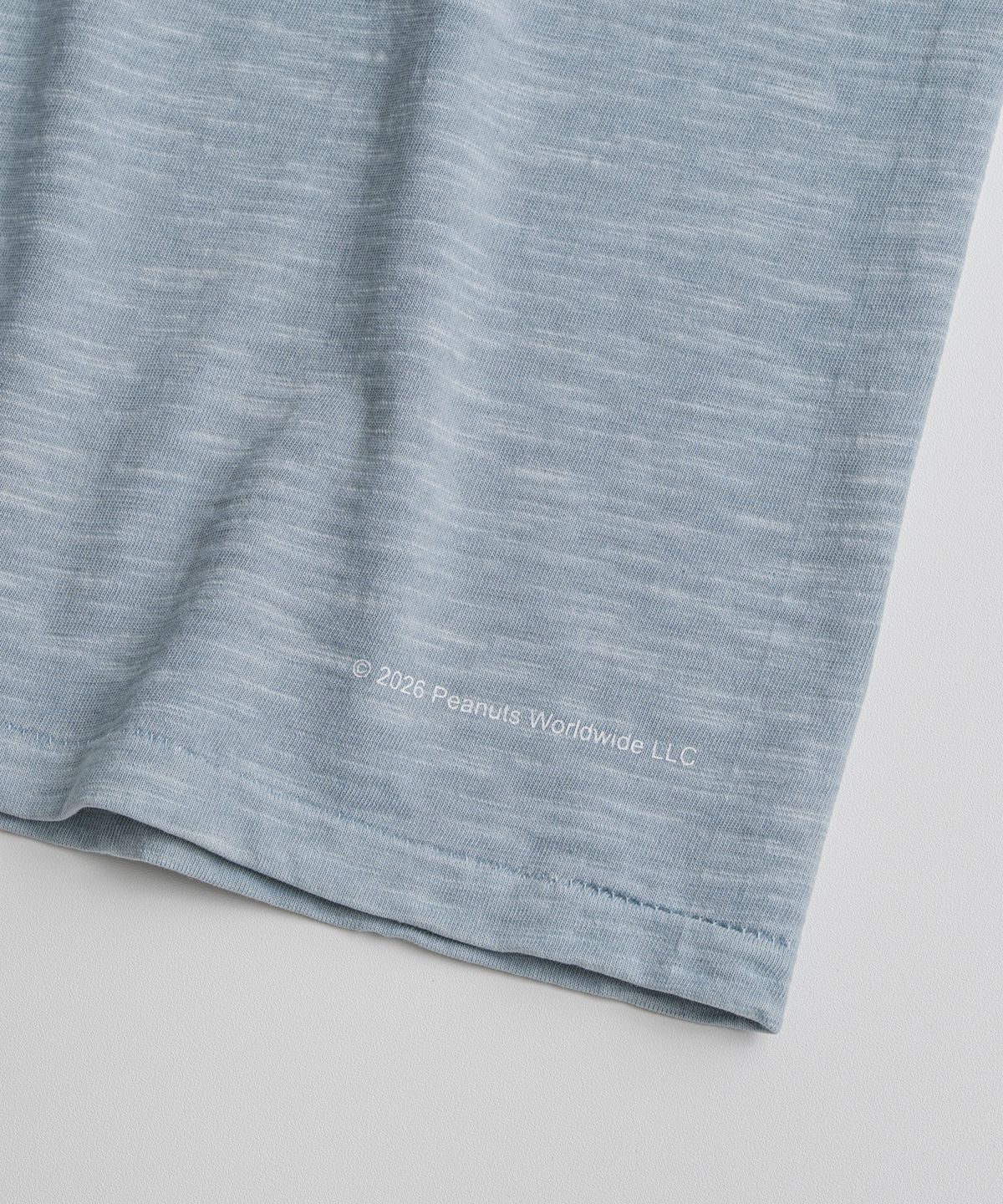비헤비어(BEHEAVYER) [x PEANUTS] SPIKE GRAPHIC TUBLAR T-SHIRTS vintage blue