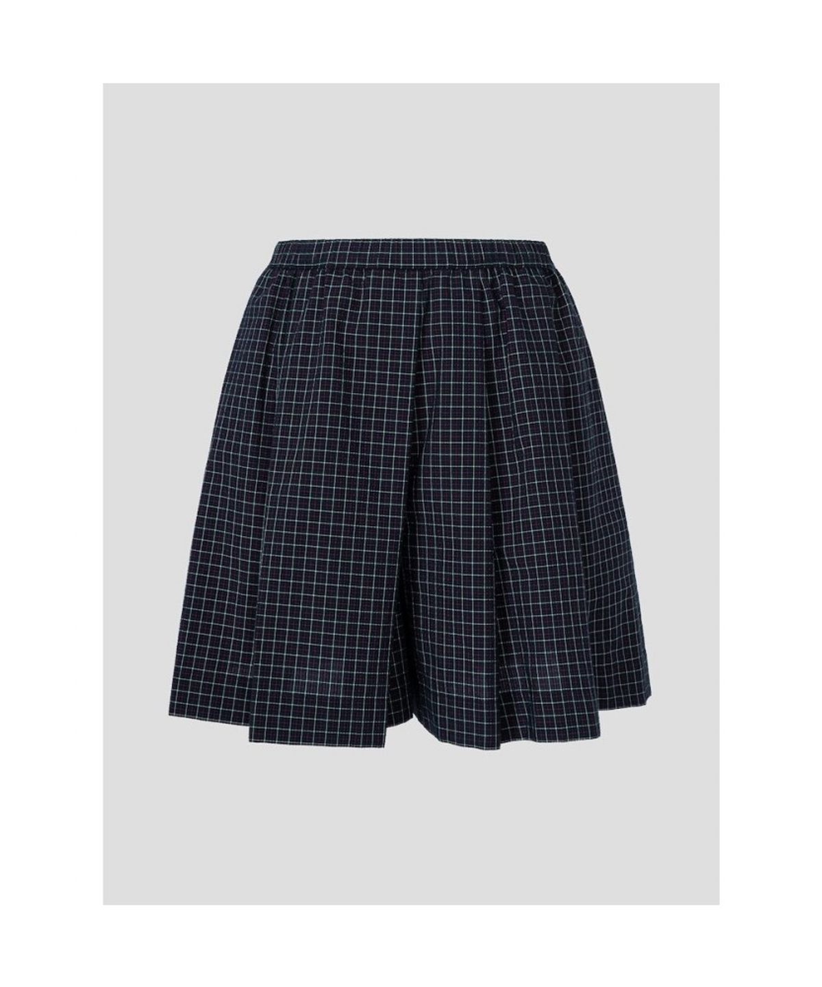 빈폴 레이디스(BEANPOLE LADIES) [HUNTER] 스몰 타탄체크 스커트라이크 쇼츠  네이비 (BF6625K02R)