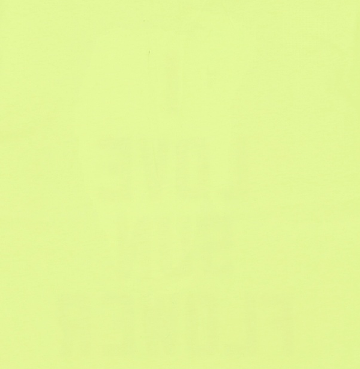 선플라워(SUNFLOWER) 반소매 티셔츠 M