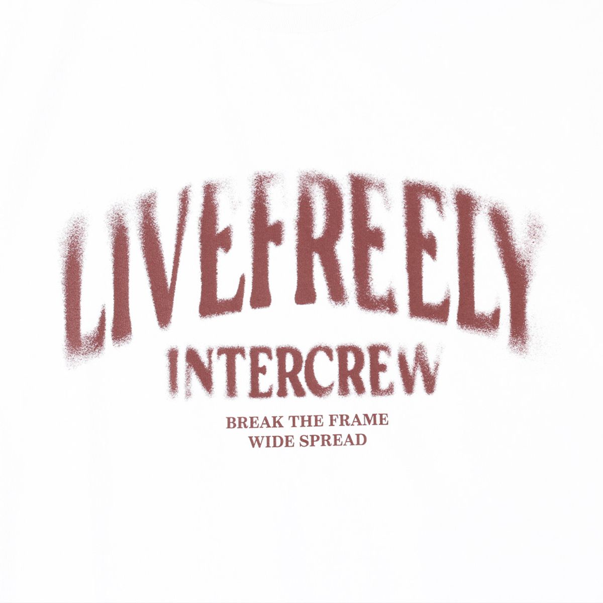 인터크루(INTERCREW) 망점 블러 기능성 반팔 티셔츠 화이트 ITA2XR03AWH