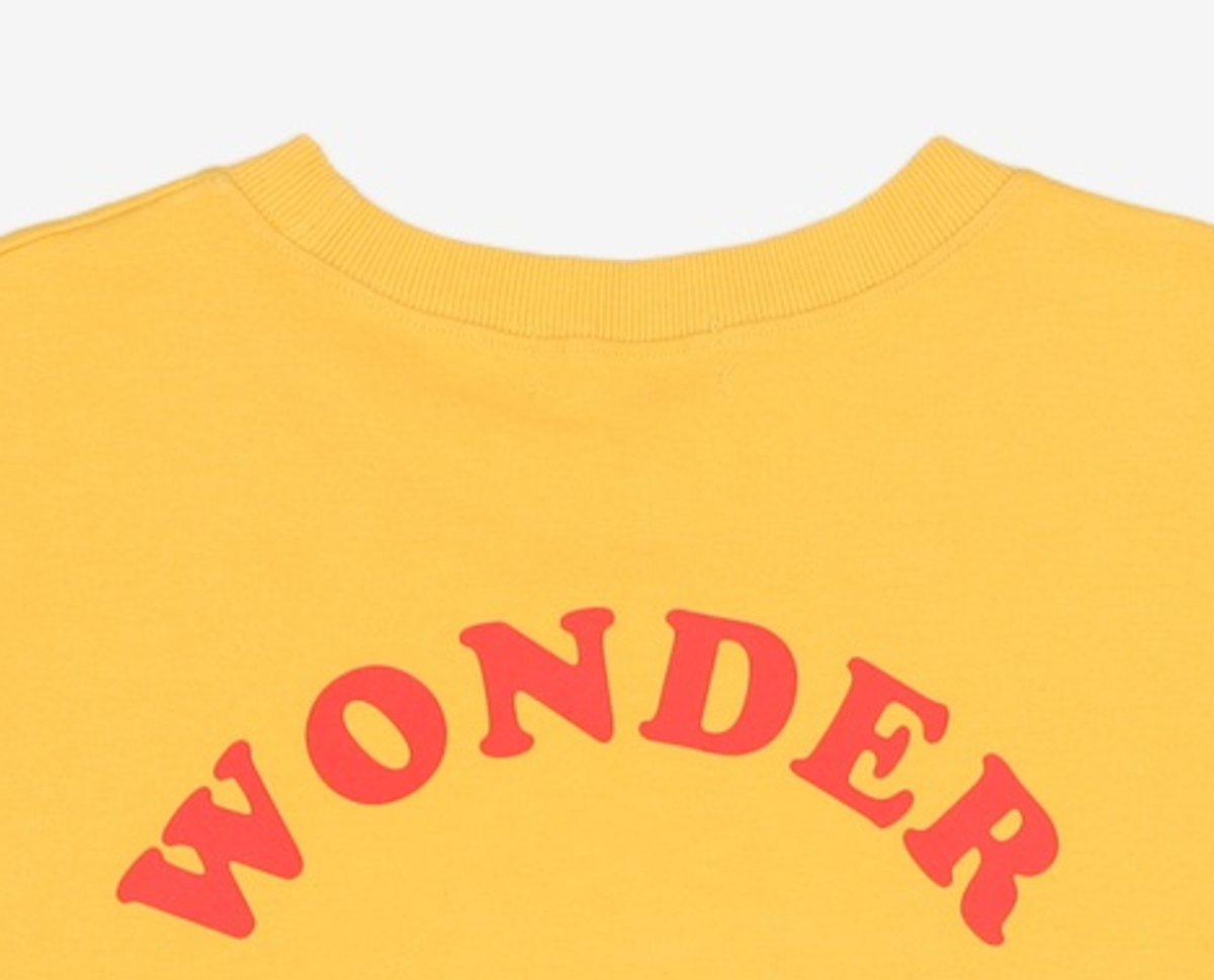 원더비지터(WONDERVISITOR) 맨투맨/스웨트셔츠 L