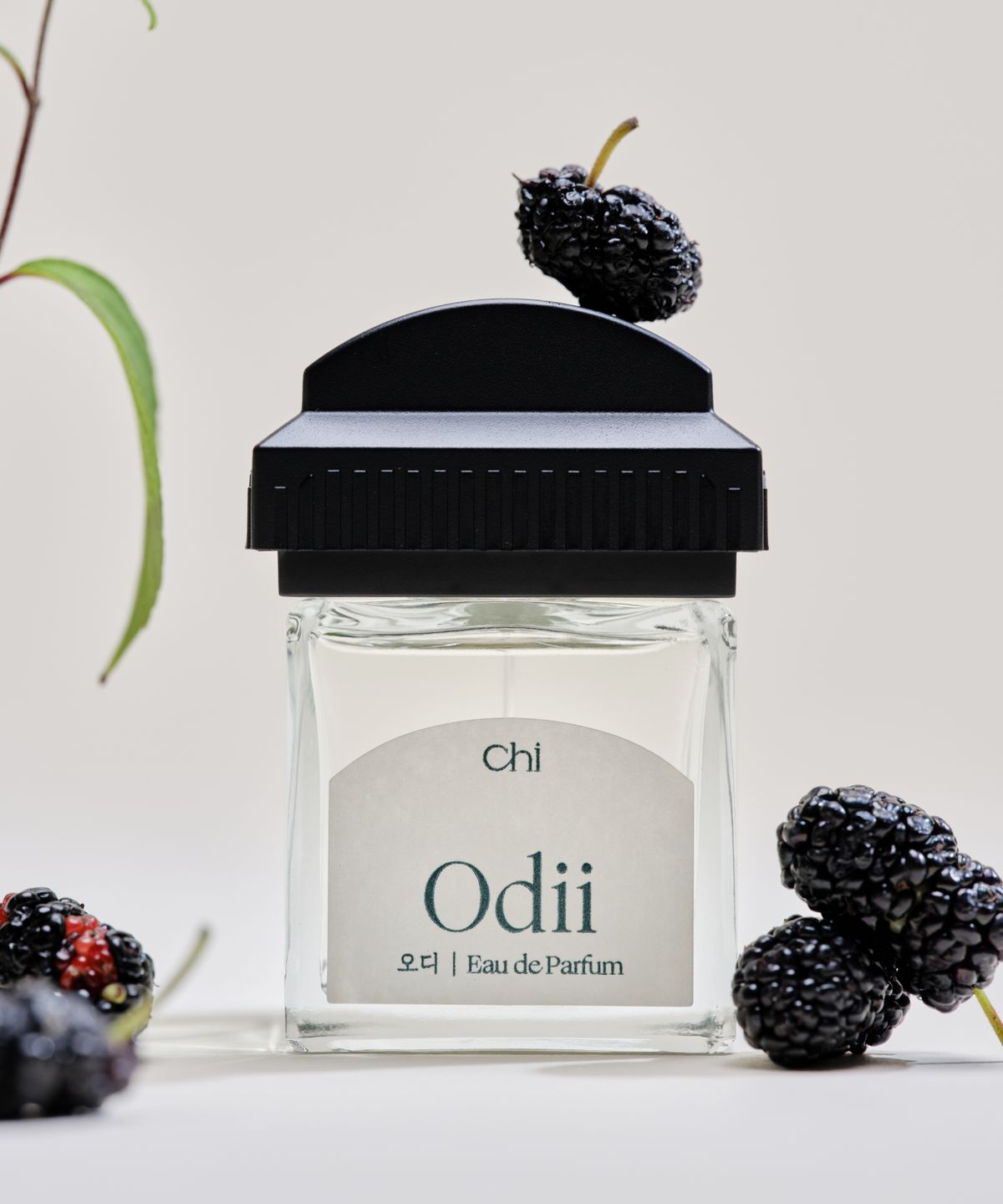 취(CHWI) [리뉴얼 전 패키지/캡·로고 상이] 취 오드퍼퓸 50ml(4종 택 1)