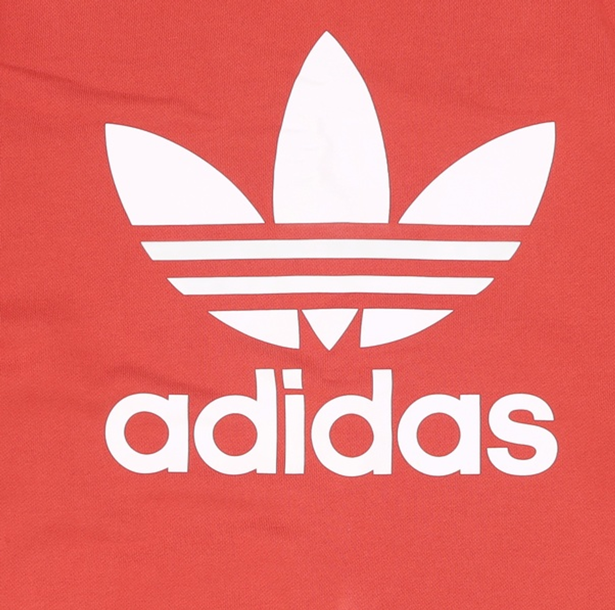 아디다스(ADIDAS) 아디컬러 오버사이즈 트레포일 스웻셔츠 - 시프트 오렌지 / DH5771 S