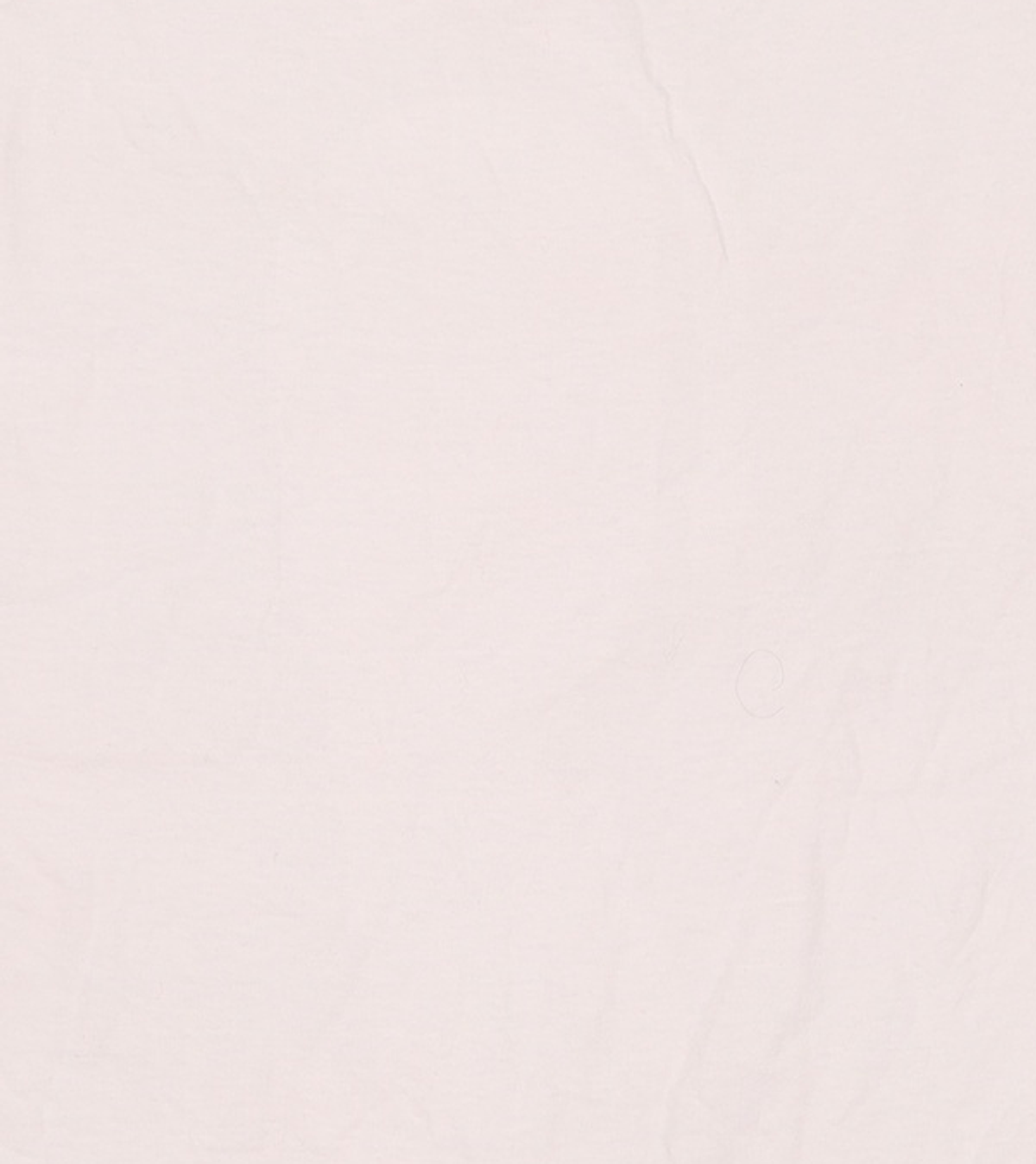 아메리칸 어패럴(AMERICAN APPAREL) 반소매 티셔츠 XL