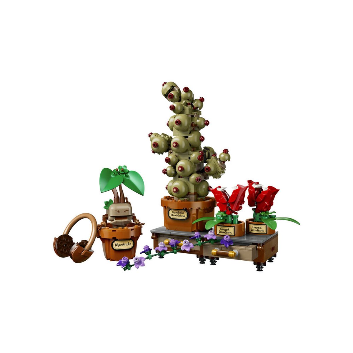 레고(LEGO) 레고 해리포터 76474 호그와트™ 약초 식물 [레고공식]