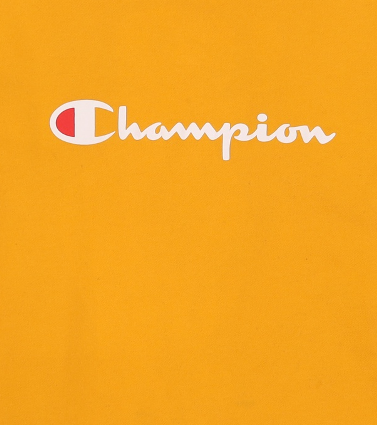 챔피온(CHAMPION) 맨투맨/스웨트셔츠 XXL