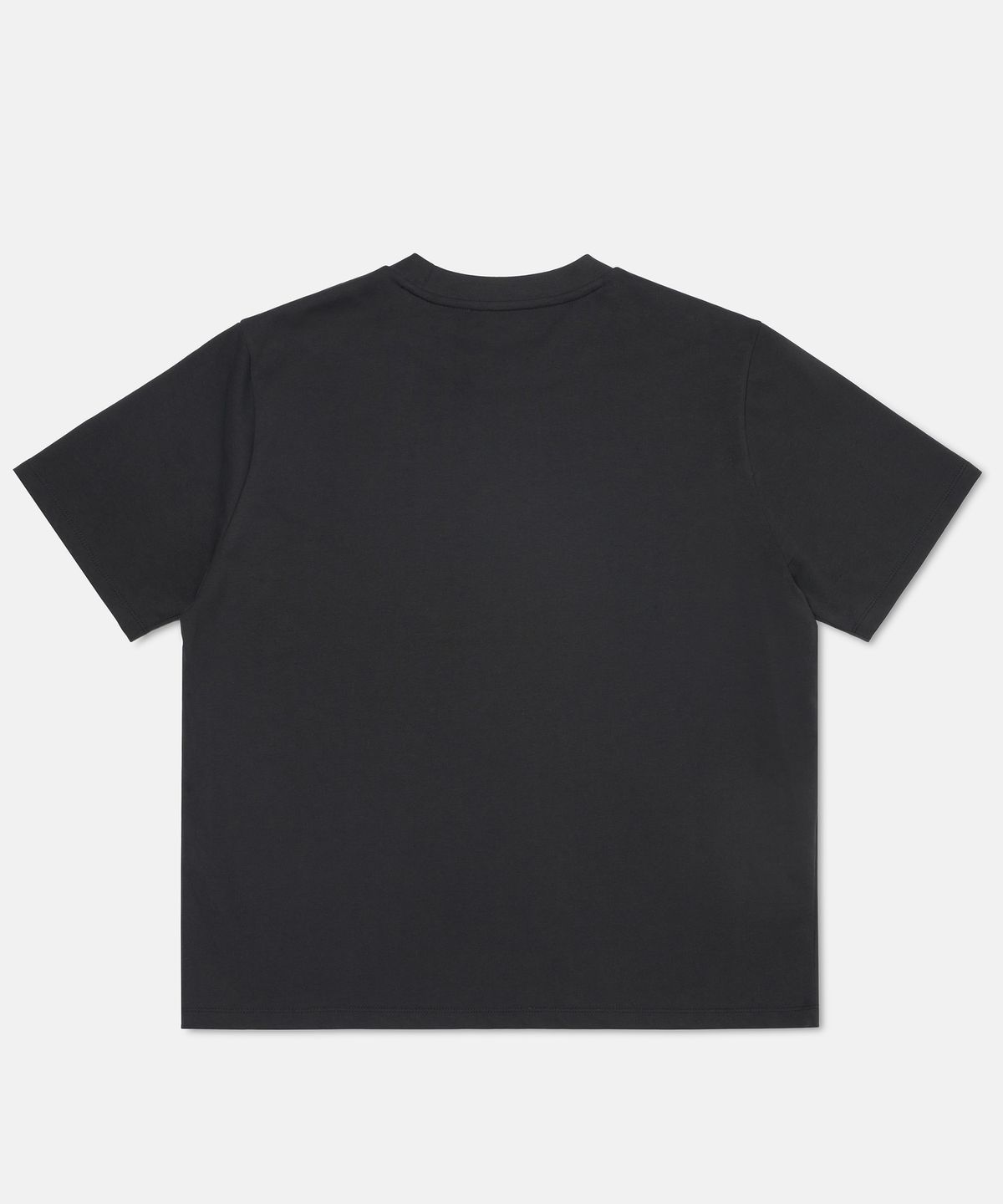 더씽인데어데어(THE THING IN THEIR THERE) Standard Crew Neck T-Shirt Black