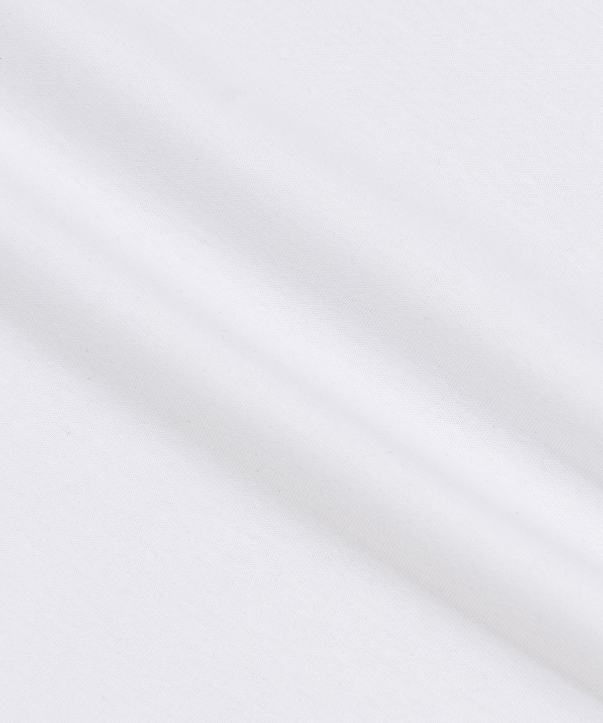 로아드로아(ROIDESROIS) 메종 싱잉 버드 그래픽 우먼 반팔티 (화이트)