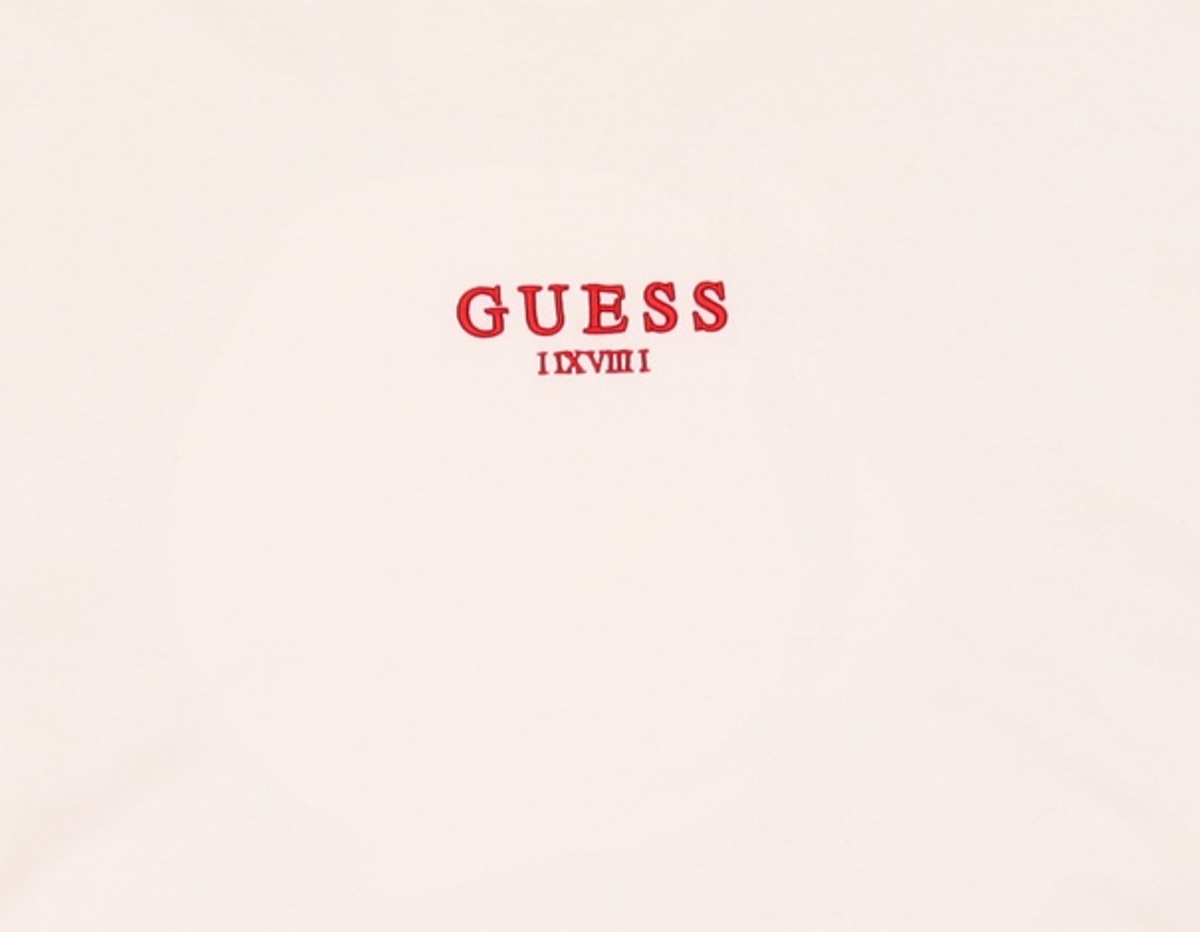 게스(GUESS) 맨투맨/스웨트셔츠 FREE
