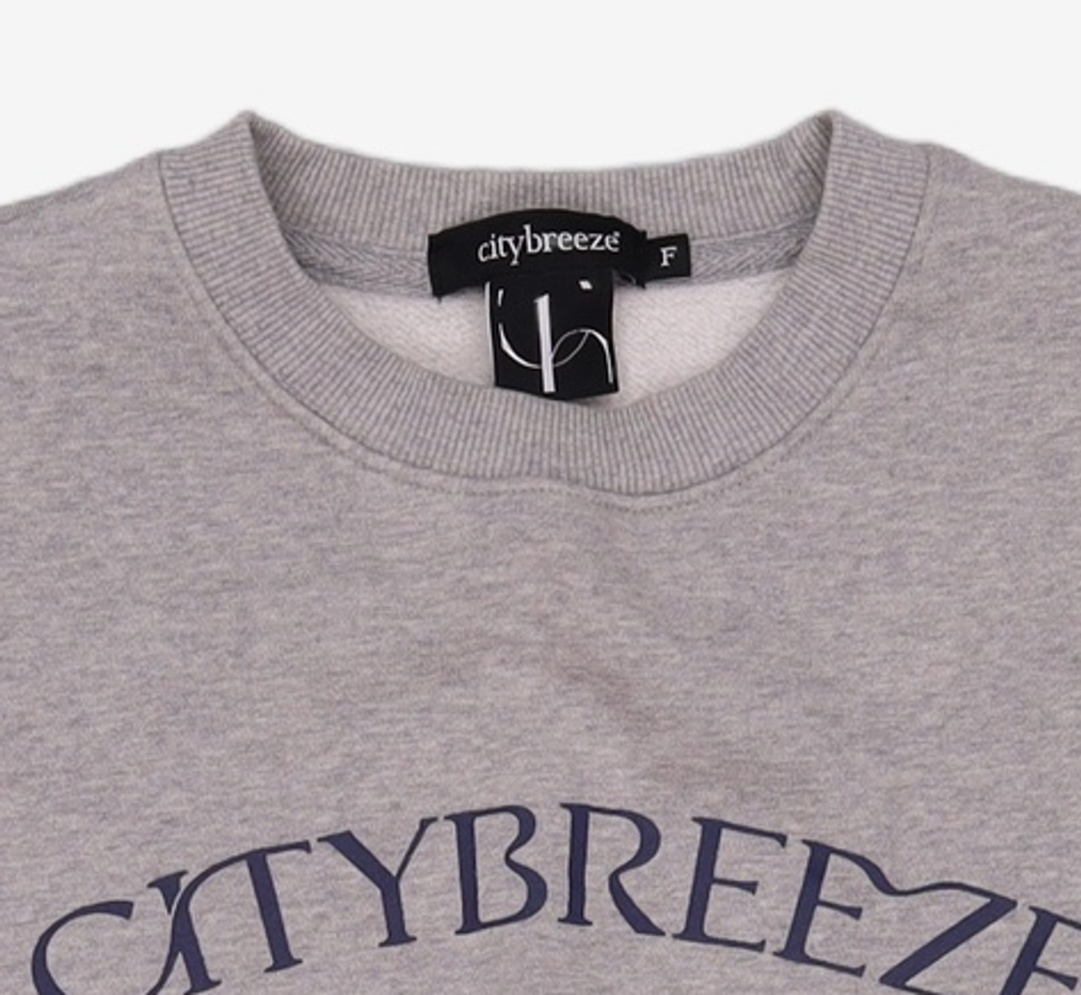 시티브리즈(CITYBREEZE) 맨투맨/스웨트셔츠 F