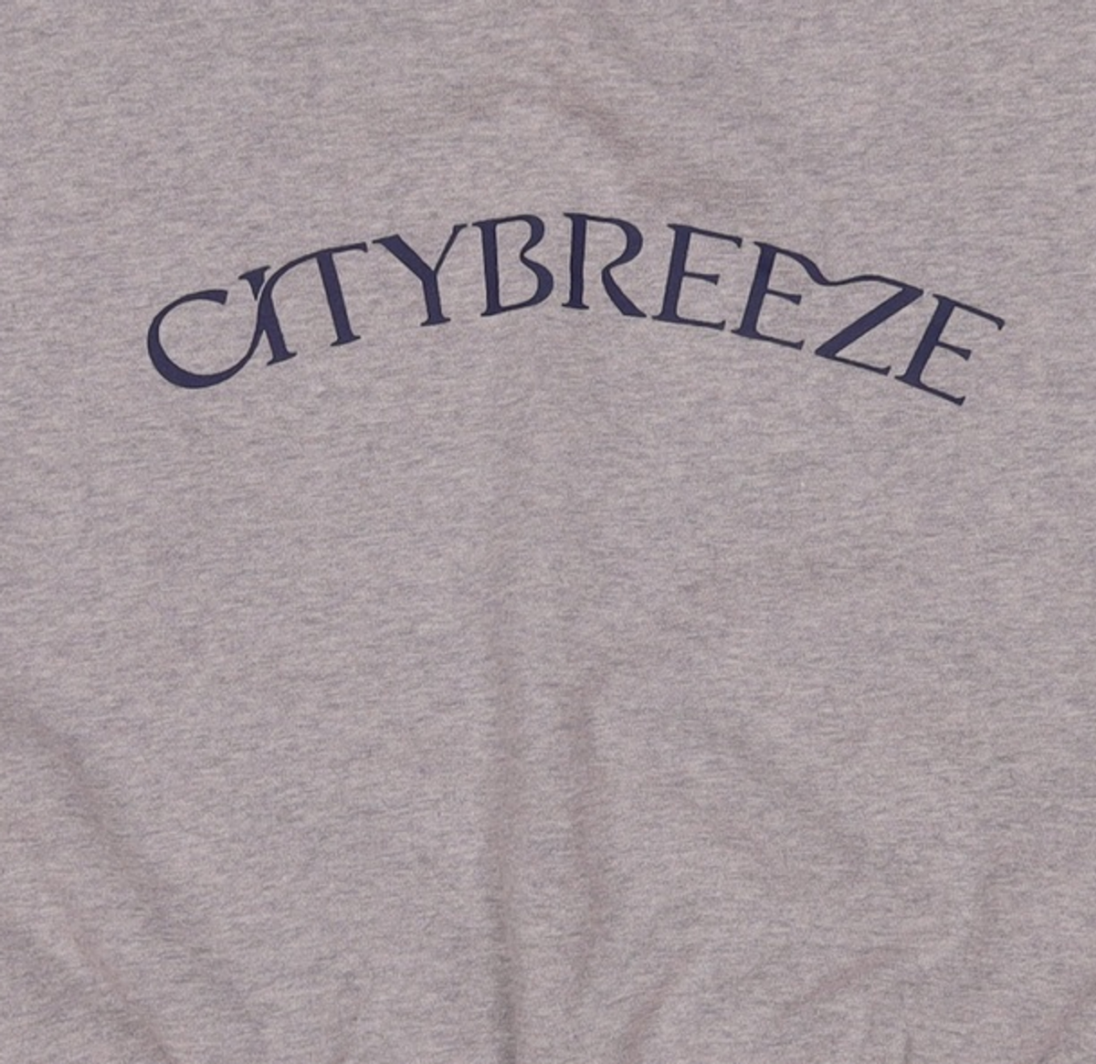 시티브리즈(CITYBREEZE) 맨투맨/스웨트셔츠 F