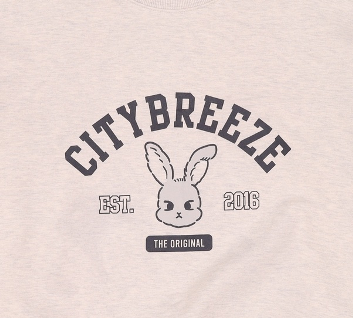 시티브리즈(CITYBREEZE) 맨투맨/스웨트셔츠 L