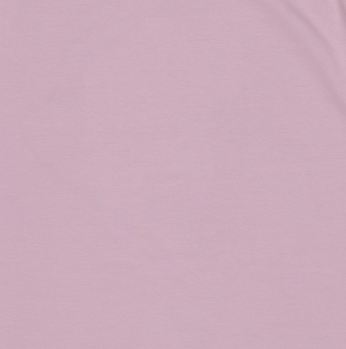 와키윌리(WACKY WILLY) 반소매 티셔츠 S