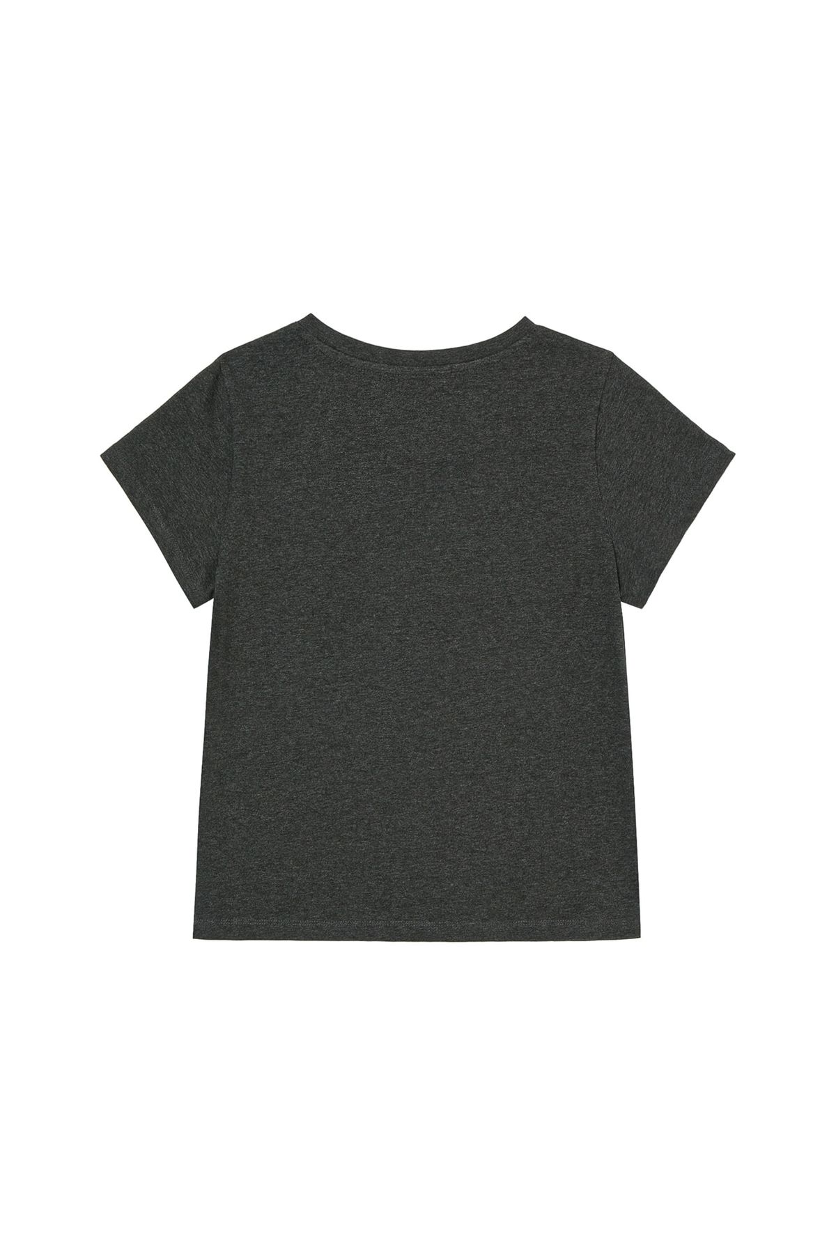 다이닛(DEINET) DESSERT GRAPHIC T-SHIRT IN CHARCOAL