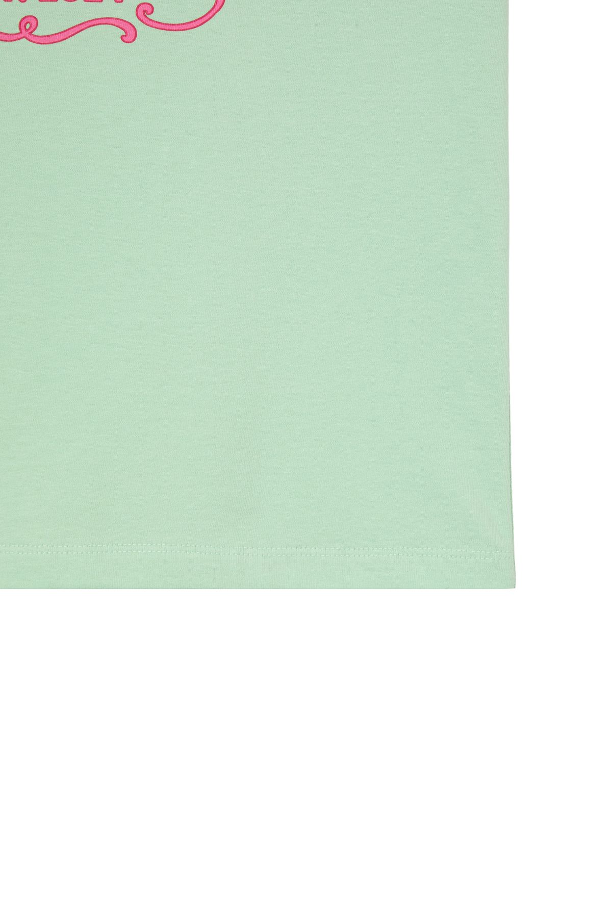 다이닛(DEINET) POP COLOR T-SHIRT IN MINT