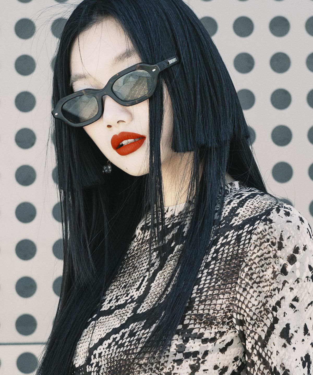 아르마일(AREMILE) AM-032 C03 Tortoise
