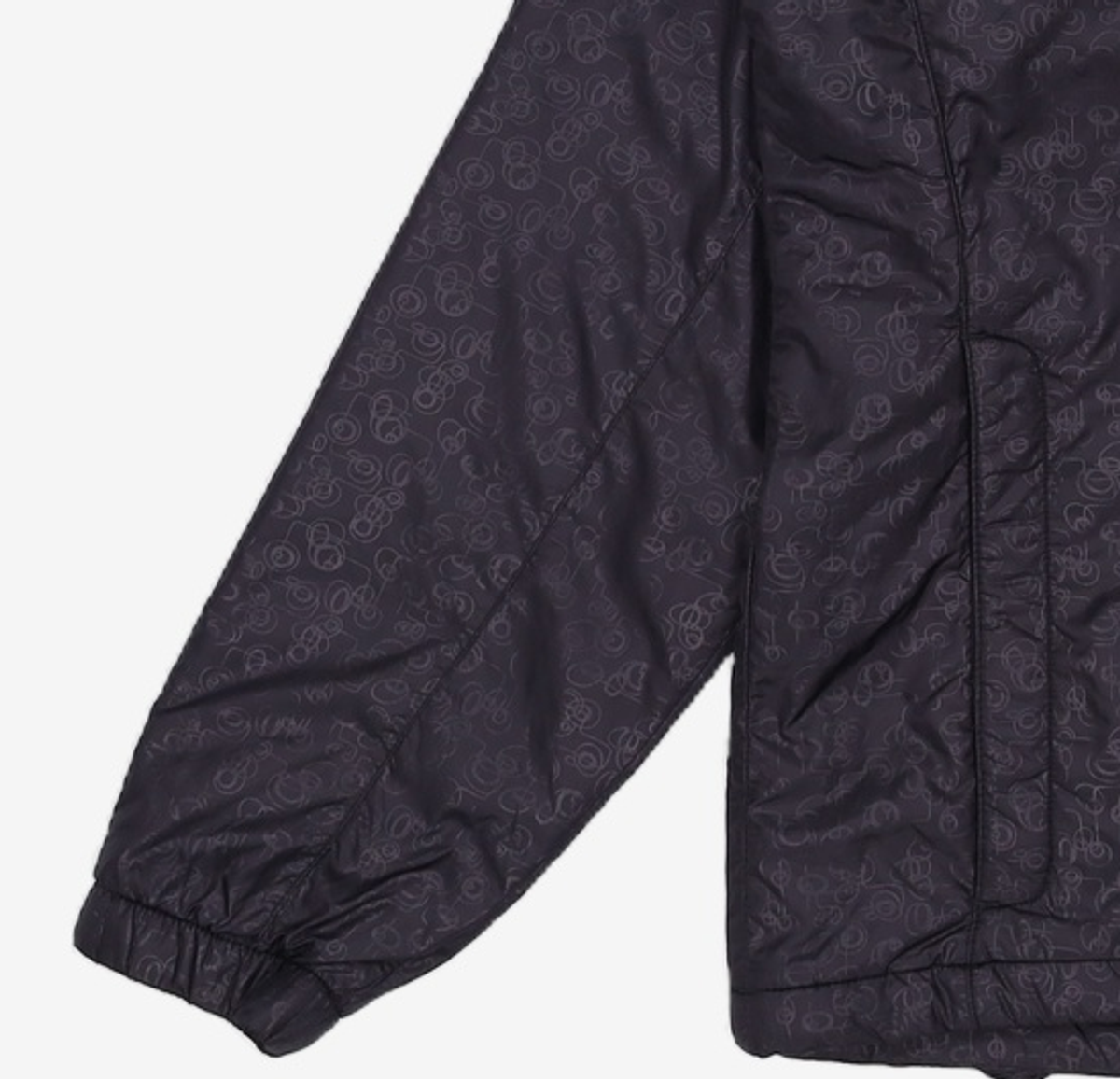 노스페이스(THE NORTH FACE) 나일론/코치 재킷 85