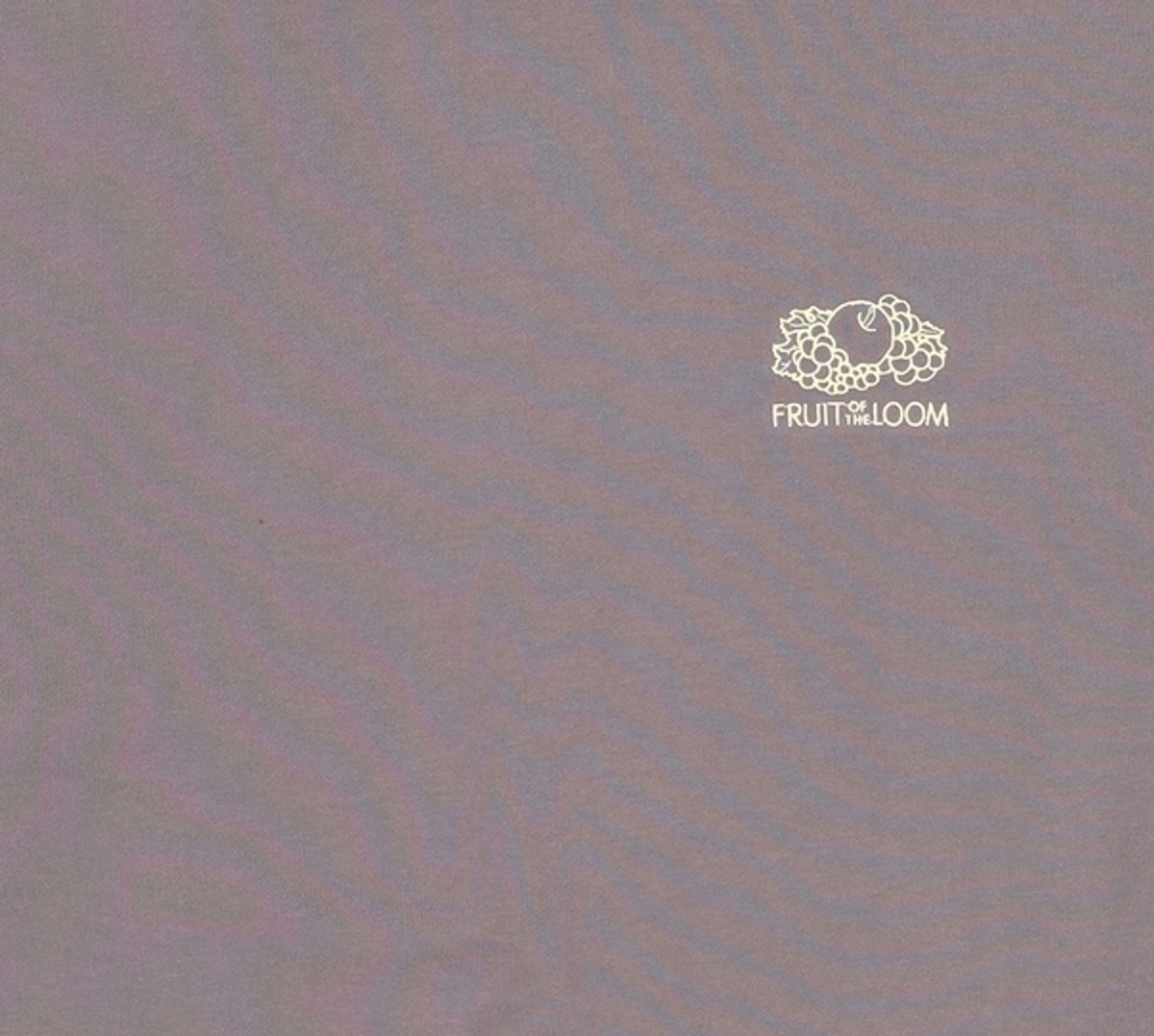 프룻오브더룸(FRUIT OF THE LOOM) 맨투맨/스웨트셔츠 105