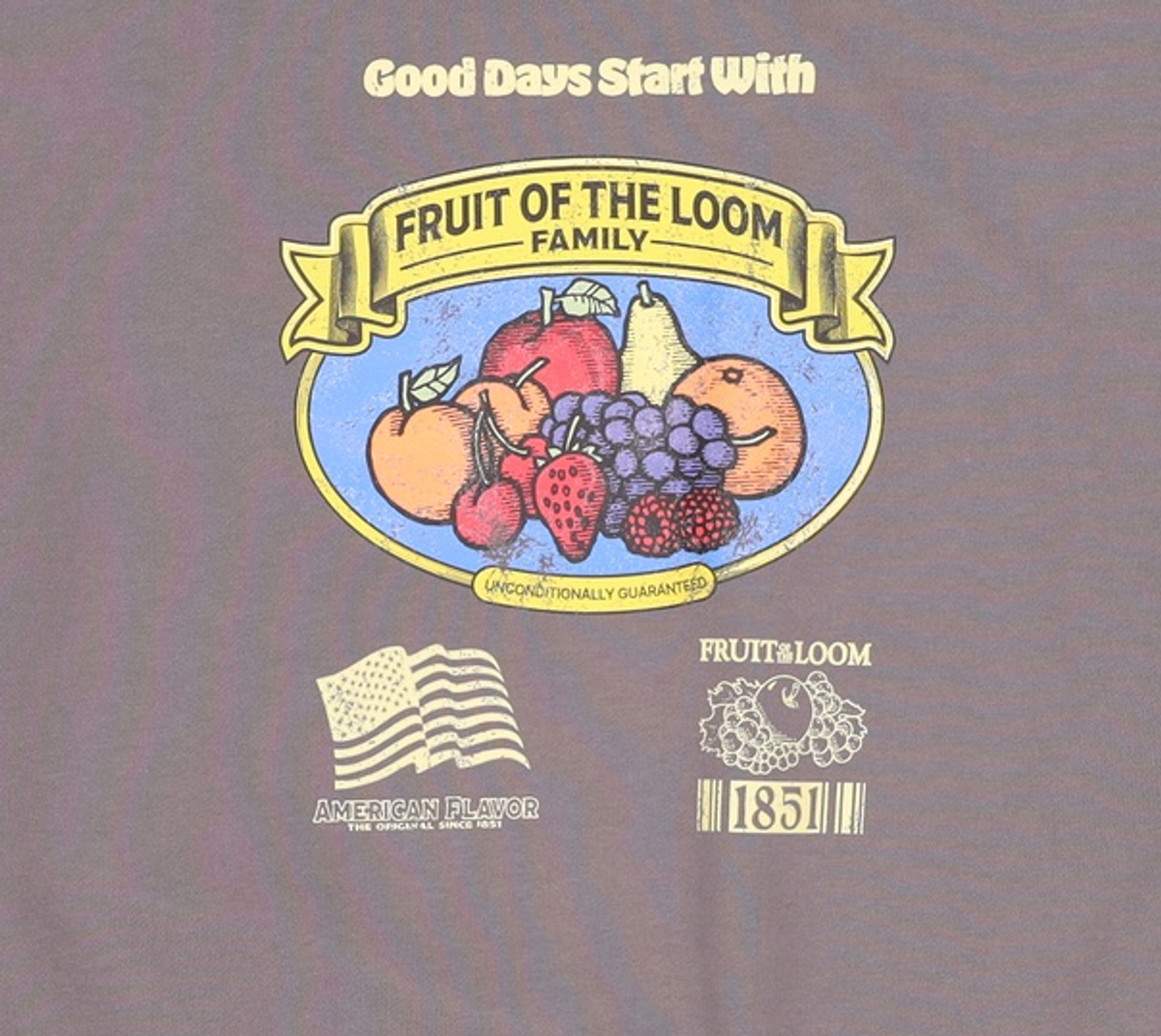 프룻오브더룸(FRUIT OF THE LOOM) 맨투맨/스웨트셔츠 105
