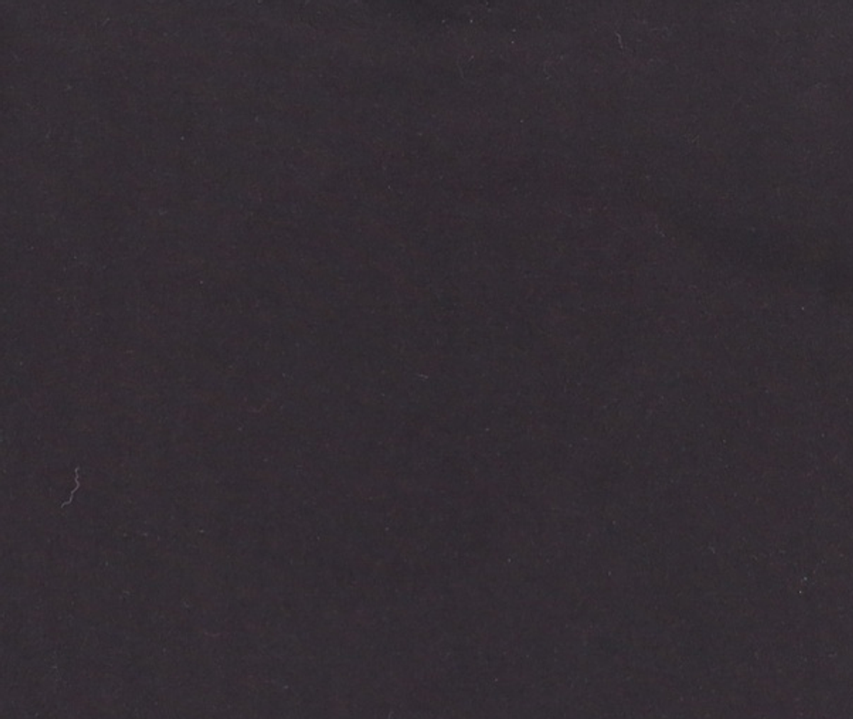 레더리(LEATHERY) 반소매 티셔츠 FREE