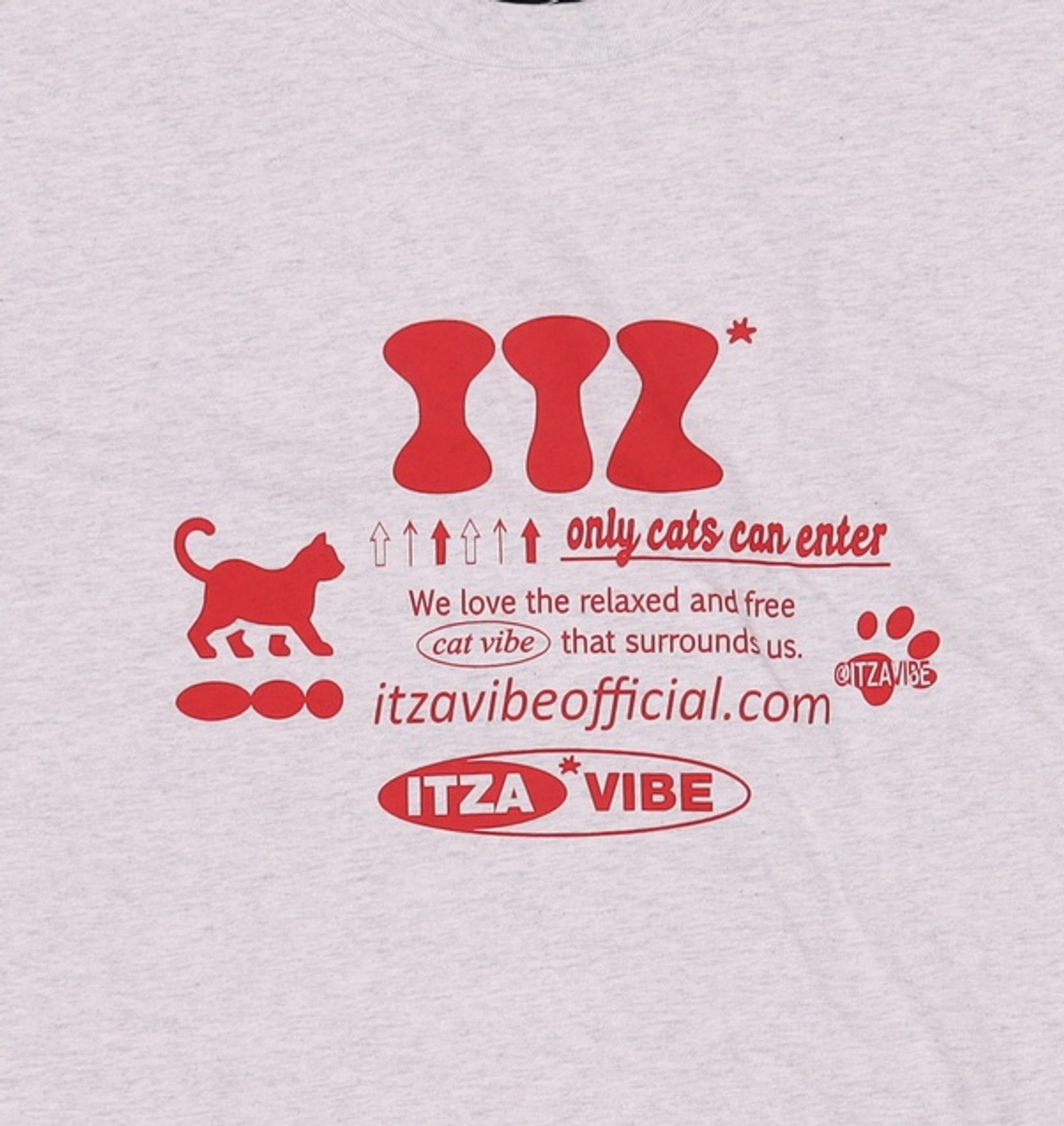 잇자바이브(ITZAVIBE) 반소매 티셔츠 L
