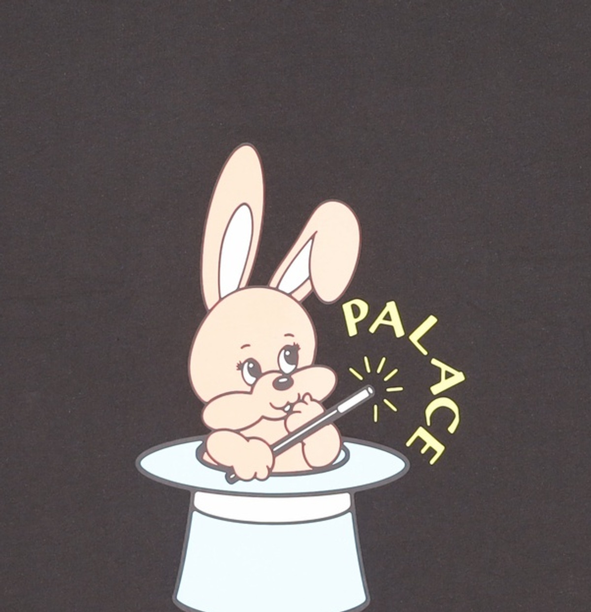 팔라스(PALACE) 반소매 티셔츠 L