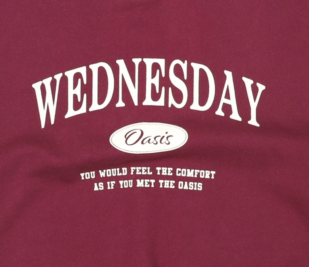 웬즈데이오아시스(WEDNESDAY OASIS) 맨투맨/스웨트셔츠 1
