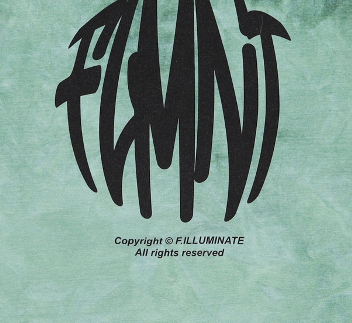 필루미네이트(FILLUMINATE) 반소매 티셔츠 L